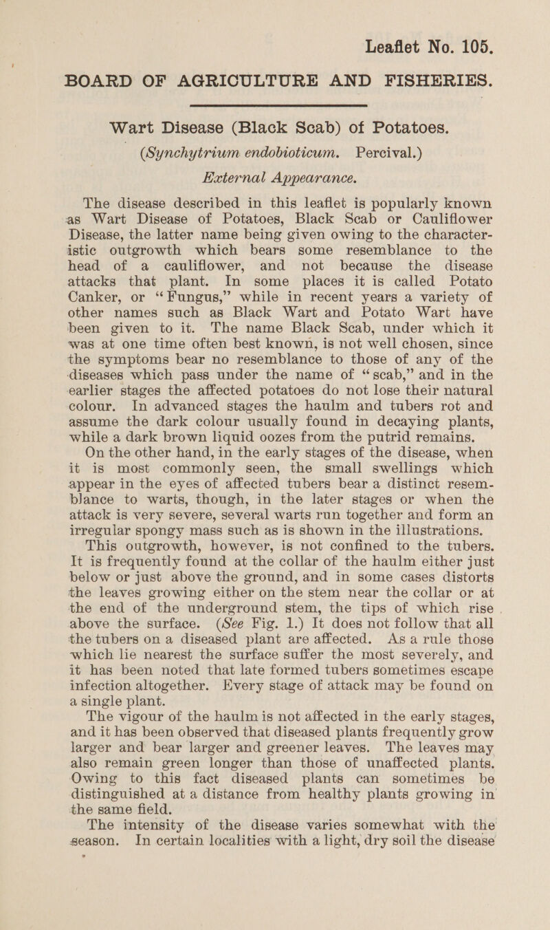 BOARD OF AGRICULTURE AND FISHERIES. Wart Disease (Black Scab) of Potatoes. | (Synchytriwm endobioticum. Percival.) External Appearance. The disease described in this leaflet is popularly known as Wart Disease of Potatoes, Black Scab or Cauliflower Disease, the latter name being given owing to the character- istic outgrowth which bears some resemblance to the head of a cauliflower, and not because the disease attacks that plant. In some places it is called Potato Canker, or “ Fungus,’ while in recent years a variety of other names such as Black Wart and Potato Wart have been given to it. The name Black Scab, under which it was at one time often best known, is not well chosen, since the symptoms bear no resemblance to those of any of the diseases which pass under the name of “scab,” and in the earlier stages the affected potatoes do not lose their natural colour. In advanced stages the haulm and tubers rot and assume the dark colour usually found in decaying plants, while a dark brown liquid oozes from the putrid remains. On the other hand, in the early stages of the disease, when it is most commonly seen, the small swellings which appear in the eyes of affected tubers bear a distinct resem- blance to warts, though, in the later stages or when the attack is very severe, several warts run together and form an irregular spongy mass such as is shown in the illustrations. This outgrowth, however, is not confined to the tubers. It is frequently found at the collar of the haulm either just below or just above the ground, and in some cases distorts the leaves growing either on the stem near the collar or at the end of the underground stem, the tips of which rise . above the surface. (See Fig. 1.) It does not follow that all the tubers on a diseased plant are affected. Asa rule those which lie nearest the surface suffer the most severely, and it has been noted that late formed tubers sometimes escape infection altogether. Every stage of attack may be found on a single plant. The vigour of the haulm is not affected in the early stages, and it has been observed that diseased plants frequently grow larger and bear larger and greener leaves. The leaves may also remain green longer than those of unaffected plants. Owing to this fact diseased plants can sometimes be distinguished at a distance from healthy plants growing in the same field. The intensity of the disease varies somewhat with the season. In certain localities with a light, dry soil the disease