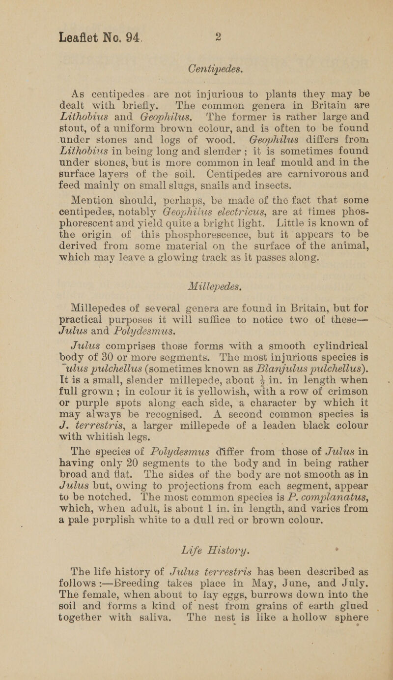 Centipedes. As centipedes. are not injurious to plants they may be dealt with briefly. The common genera in Britain are Lithobius and Geophilus. The former is rather large and stout, of a uniform brown colour, and is often to be found under stones and logs of wood. Geophilus differs from Inthobius in being long and slender; it is sometimes found under stones, but is more common in leaf mould and in the surface layers of the soil. Centipedes are carnivorous and feed mainly on small slugs, snails and insects. Mention should, perhaps, be made of the fact that some centipedes, notably Geophilus electricus, are at times phos- phorescent and yield quite a bright light. Little is known of the origin of this phosphorescence, but it appears to be derived from some material on the surface of the animal, which may leave a glowing track as it passes along. Millepedes. Millepedes of several genera are found in Britain, but for practical purposes it will suffice to notice two of these— Julus and Polydesmus. Julus comprises those forms with a smooth cylindrical body of 30 or more segments. The most injurious species is “ulus pulchelius (sometimes known as Blanjulus pulchellus). It is a small, slender millepede, about 4 in. in length when full grown ; in colour it is yellowish, with a row of crimson or purple spots along each side, a character by which it may always be recognised. A second common species is J. terrestris, a larger millepede of a leaden black colour with whitish legs. The species of Polydesmus differ from those of Julus in having only 20 segments to the body and in being rather broad and flat. The sides of the body are not smooth as in Julus but, owing to projections from each segment, appear to be notched. The most common species is P. complanatus, which, when adult, is about 1 in. in length, and varies from a pale purplish white to a dull red or brown colour. Life History. ; The life history of Julus terrestris has been described as follows :—Breeding takes place in May, June, and July. The female, when about to lay eggs, burrows down into the soil and forms a kind of nest from grains of earth glued | together with saliva. ‘The nest is like a hollow sphere