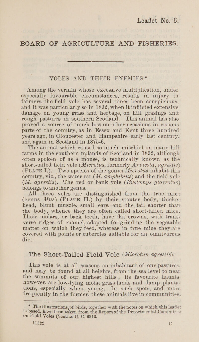 BOARD OF AGRICULTURE AND FISHERIES.  VOLES AND THEIR ENEMIKES.* Among the vermin whose excessive multiplication, under especially favourable circumstances, results in injury to farmers, the field vole has several times been conspicuous, and it was particularly so in 1892, when it inflicted extensive damage on young grass and herbage, on hill grazings and rough pastures in southern Scotland. This animal has also proved a source of much loss on other occasions in various. parts of the country, as in Essex and Kent three hundred years ago, in Gloucester and Hampshire early last century, and again in Scotland in 1875-6. The animal which caused so much mischief on many hill farms in the southern uplands of Scotland in 1892, although often spoken of as a mouse, is technically known as the short-tailed field vole (Microtus, formerly Arvicola, agrestis) (PLATE I.). Two species of the genus Microtus inhabit this country, viz., the water rat (4. amphibius) and the field vole (iM. agrestis). The red or bank vole (Hvotomys glareolus) belongs to another genus. All three voles are distinguished from the true mice (genus Mus) (PLATE II.) by their stouter body, thicker head, blunt muzzle, small ears, and the tail shorter than the body, whence they are often called short-tailed mice. Their molars, or back teeth, have flat crowns, with trans- verse ridges of enamel, adapted for grinding the vegetable matter on which they feed, whereas in true mice they.are, covered with points or tubercles suitable for an omnivorous diet. The Short-Tailed Field Vole (Microtus agrestis). This vole is at all seasons an inhabitant of our pastures,. and may be found at all heights, from the sea level to near the summits of our highest hills; its favourite haunts. however, are low-lying moist grass lands and damp planta- tions, especially when young. In such spots, and more frequently in the former, these animals live in communities,  . * The illustrations,of birds, together with the notes on which this leaflet is based, have been taken from the Report of the Departmental Committee on Field Voles (Scotland), ©, 6943. 11322 c