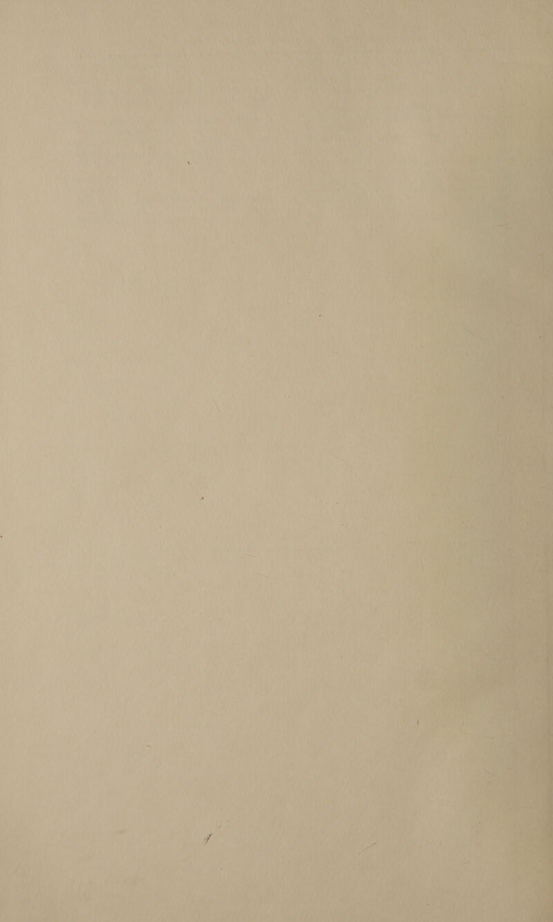   hy eth ame AY 4 4 Duals aE cath NY: Ban hg SUA ANS Hh:                           Men ‘ eo a fi oY 4 4 i ad ra i A4 : a Ce ae : 4 5 , s thea MPT @ ) ee ‘2 vig eh LAS, il My i 7. | A eae an Bi e iy ey Pa ed ANTS Watkin ayy ARE AS oa &lt; 4 T is 1% f foaled hc inh Wi eet i ; u sigh A, ; Bis Ae oe hy hale We aM e' P 6 dH at Pan et baa ayy { y t i Pareles male Lt. ee ea : Ls t BOA “} i a Cth aie A P| i y TiS 4 ft rhe my Rie ile VA ov n hid ie) Hi fi He ea hee } ik, aa \ Ar Ty Oeil if : tiara se Sih tied) ‘ + {ort r 4 A sy bist ‘i ; ia i i A ‘ ey vio $a4 \ , . ; bey ay Hk  : es ‘WA ear © Weare far) v4 ’ eo ub lat ie “ } et x ar) &gt; ar , en Py | a in * 4 é ‘ “aM 6! Ny i“ SP 4s mn prey i’ ace Bite Ty fe ‘ ia &amp; et } } » iy : ¥, ) the \ { + 4 ‘ “st = ' : } ; ‘ 4] ' i ' / \ mi 3 ‘ &gt; é ‘ 20% : rN Le ‘ past f ~ aes = 7 : f j \ f ~ pe 4 Vy} } th ibe ea'h he i } Whinis if nt oe i i ? ate \ fh hee Te hay He Ah - nay ar 2s Pores x ral vi wig ie | Hal She raf pit Jy : joa  va pau et / } ty ‘¢ Mn A , 4 An i 7 Ws if Aig Aas | Aa 1 i - ie Pur ; ate dre! i fi ‘ ; aay Wikic : Li cte By 4 i ; vy i ara, Ah , ~ f eee, ' ij aihy t j } ' a fh ; / / oe } 4 hfe r : ea ‘ pil aly Ai? } ‘ hi sett A } ‘ M i #) mi ; ity? My ew, ; he ow 