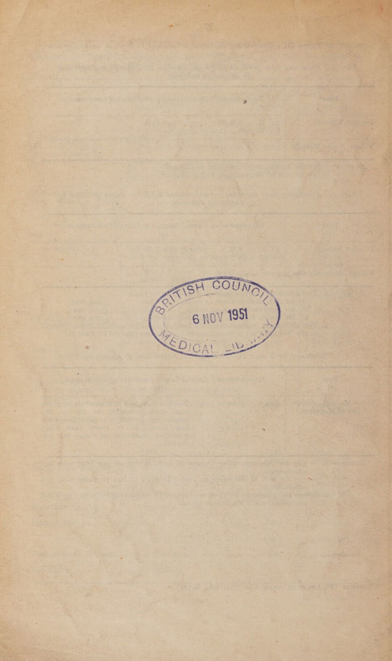 ry ee wk et ent bn AR tent lis hg ai ‘ re ee ee ie wi, 7s ~ Se Ree Gate eterna ate eee rE} ai