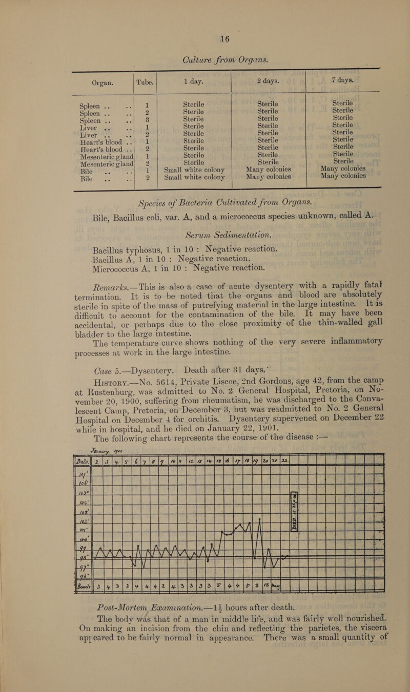 Culture from Organs. ’ |    Organ. Tube. 1 day. 2 days. 7 days. Spleen .. 1 Sterile . Sterile — Sterile Spleen .. 2 Sterile Sterile Sterile Spleen .. 3 Sterile Sterile Sterile Liver an il Sterile Sterile Sterile iver. ai 2 Sterile Sterile Sterile Heart’s blood .. 1 Sterile Sterile Sterile Heart’s blood .. 2 Sterile Sterile Sterile Mesenteric gland) 1 Sterile Sterile Sterile Mesenteric gland) 2 Sterile Sterile Sterile Bile 1 Small white colony Many colonies Many colonies. Bile 2 Small white colony Many colonies Many colonies    Bile, Bacillus coli, var. A, and a micrococcus species unknown, called A. - Serum Sedimentation. Bacillus typhosus, 1 in 10: Negative reaction. Bacillus A, 1 in 10: Negative reaction. Micrococcus A, 1 in 10: Negative reaction. Remarks.—This is also a case of acute dysentery with a rapidly fatal termination. It is to be noted that the organs and blood are absolutely sterile in spite of the mass of putrefying material in the large intestine. It is difficult to account for the contamination of the bile. It may have been accidental, or perhaps due to the close proximity of the thin-walled gall bladder to the large intestine. The temperature curve shows nothing of the very severe inflammatory processes at work in the large intestine. . Case 5.—Dysentery. Death after 31 days,” Hisrory.—No. 5614, Private Liscoe, 2nd Gordons, age 42, from the camp at Rustenburg, was admitted to No. 2 General Hospital, Pretoria, on No- vember 20, 1900, suffering from rheumatism, he was discharged to the Conva- lescent Camp, Pretoria, on December 3, but was readmitted to No. 2 General Hospital on December 4 for orchitis. Dysentery supervened on December 22 while in hospital, and he died on January 22, 1901. The following chart represents the course of the disease :—         Tandy pest itih DEE! WAND FBO AIOE BAIS ANY Toe See Dero lolol [617 le le [mln [ele |e lee|s ly [ety [eoler [a] | TT TT | beef [EET TT Rs ada aD es Ptpas ore Dayroltay ST aa ny INGRAM HOP NT ened ema ae ‘   EY ie a &lt;a a ie me a Ka i AaB: pp tobdet Mt ey RPiSa22 Ree RaSUnesSES| Ee Re RRS aS    A) EP ALAA ZU WAAL 7 ee aA AAR BAT CEE EEE ELE LEE CELL End [amet so] &gt; [a [| olole [elo [s [ols |e [ole |e] s fehl [| ses ’ es ee ee Se SS SS A A SS ST    Post-Mortem Examination.—1} hours after death. The body was that of a man in middle life, and was fairly well nourished. On making an incision from the chin and reflecting the parietes, the viscera apy eared to be fairly normal in appearance. There was a small quantity of