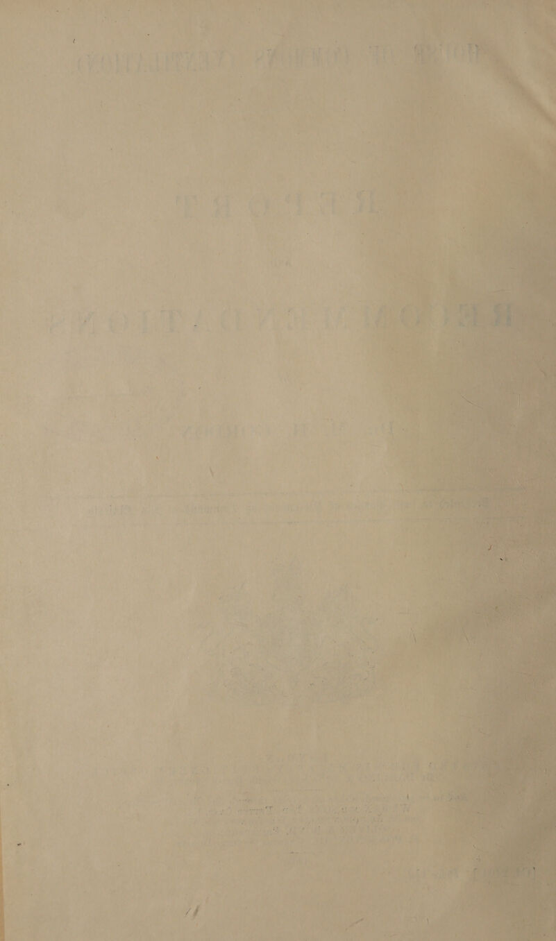     er o® i, ae Pi ‘ys al, ; 4 : 3 i : i Pas 7 on -s y . 5e ‘  o é , 4 ? wad fv Ly Wi ‘ ' = fy ‘ i, 4 F s Lise , (sana ‘ i ¢ if ) i ‘ i ai tet a) ree ar ¢ #4 1) ) Wha ne ay eG ek ppt eo ¢ : ri nae