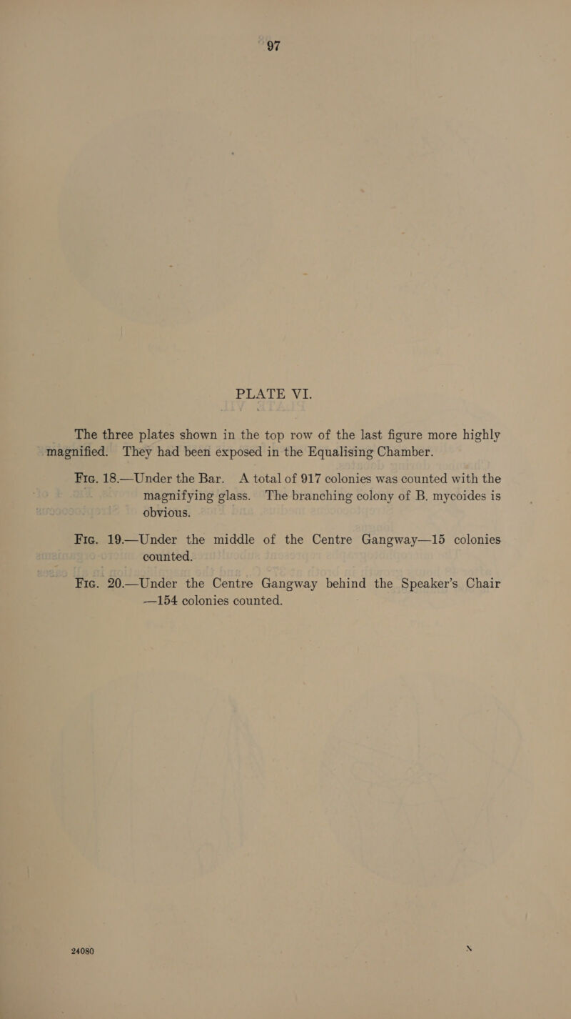 PLATE. Vi. The three plates shown in the top row of the last figure more highly magnified. They had been exposed in the Equalising Chamber. Fic. 18.— Under the Bar. A total of 917 colonies was counted with the magnifying glass. The branching colony of B. mycoides is obvious. Fic. 19—Under the middle of the Centre Gangway—15 colonies counted. _ Fic. 20.—Under the Centre Gangway behind the Speaker’s Chair —154 colonies counted.