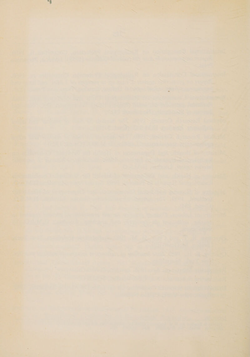                             ~ 7 58 7 Fes ’ - : Re ——. f — ~~ ad ee Fee meric ere ST eee ef ace Teter, 2k  ve oe ire 5 yt) fini } f Lee st' j i i a a Lit Nis Lit Serer, &gt;, ne L es! i Leg ty, PAD Ul et ne he 2 cograr Nate mm wh ne a a Se ene ea ee ‘ may ee Seg. , TeSS E hihi ih parang STN ney aw eA via. . ee 2 mop ered” tech ain at ‘evens Soe —&lt;— | Seas, Li 5 a i ae are Sd, Ea hs ey “ahr aes ty. Gre nt bent wie oe? i lenpe Hous , a (ate pe ne iwi SRS gt ear: aba A Ber “Ayes ‘ea ea Gare eS Sed seam idl an (2OC Eis) ORE ‘a OTR) Si A eae , * “oa v3 Ls ; re ‘ a 7 ' — = V7. Toit. Pie, WH ene a Sees ugg brite 3 leeks ne BRS 4: acento ee aside oee * sinaagteetetore — ; i e t res tT ay Re as aid ie a3: A ae Db Or 4h? Wile oc s &lt; WEN Seas Sits. deal a * ry. pe ol rab hs “(at D) aay! i wrth)? of? a a ee Wat” ge a ae 7 Sf AY tom deoeevt Seta Roney a c - z * obs = ; ¥ rl name _ vy a a ~ &gt;a ’ : P a, 2 = ae ry Aas! *4e' ay ar Phe Weak) Sh , Rd a Se ‘ih el PN gel ae nas ‘ - &gt; , ae a ; 7 - , i , ‘Oi Ai 7 ee iol = yc. So a t4e iach) Oe ole nal Bi» me Tnwive ai Lo y 2 , a aid Pak Us ee i Pepe. a ; . | ls Z ee eS ESATO NT SAS ‘aay an a M aa eee 2 Ft oe eS Ties oe alen pian ates. a euiaet bi witha ene Ded ne = wer ; ‘ei '3: ATS . — —— | LF ine ee wat - ae GS citi TAN Ea ce nile a c 1 . es Sie i: aid fs ~t. “ 4 7 nd: . . fn be ayn ~~ a a sth iat ed mg ph oe ~ ms - oer ey 
