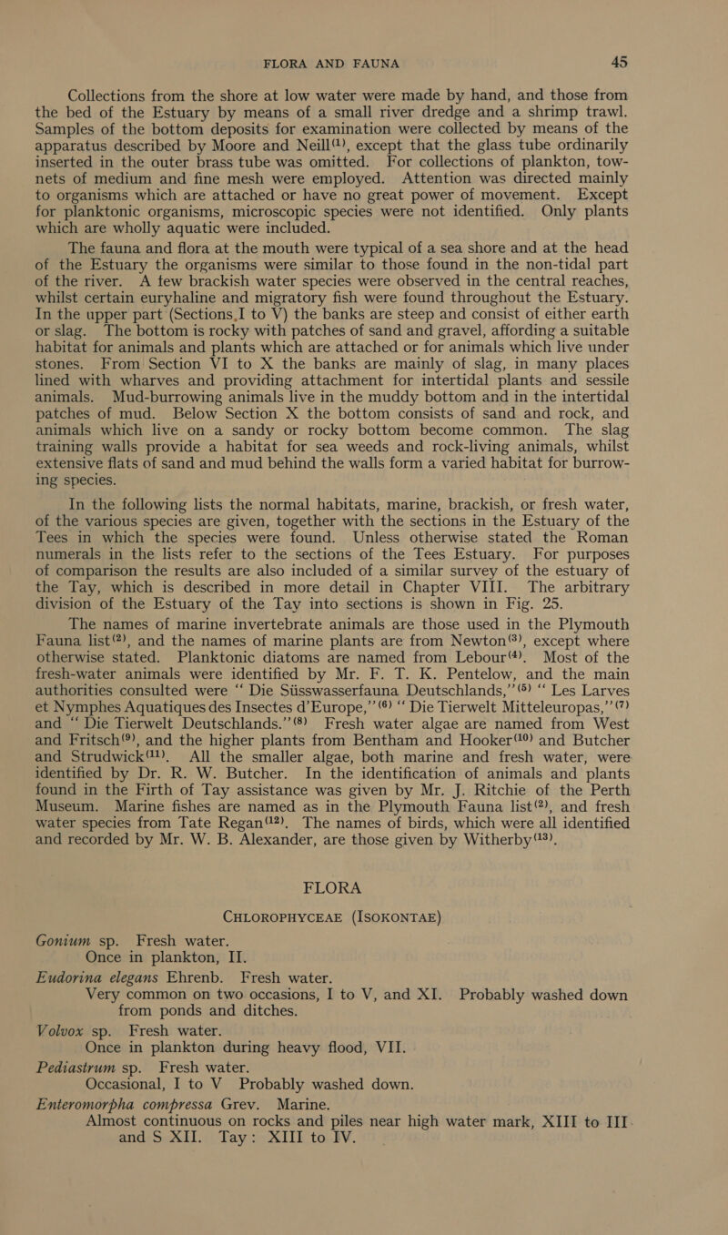 Collections from the shore at low water were made by hand, and those from the bed of the Estuary by means of a small river dredge and a shrimp trawl. Samples of the bottom deposits for examination were collected by means of the apparatus described by Moore and Neill), except that the glass tube ordinarily inserted in the outer brass tube was omitted. For collections of plankton, tow- nets of medium and fine mesh were employed. Attention was directed mainly to organisms which are attached or have no great power of movement. Except for planktonic organisms, microscopic species were not identified. Only plants which are wholly aquatic were included. The fauna and flora at the mouth were typical of a sea shore and at the head of the Estuary the organisms were similar to those found in the non-tidal part of the river. A few brackish water species were observed in the central reaches, whilst certain euryhaline and migratory fish were found throughout the Estuary. In the upper part (Sections,I to V) the banks are steep and consist of either earth or slag. The bottom is rocky with patches of sand and gravel, affording a suitable habitat for animals and plants which are attached or for animals which live under stones. From Section VI to X the banks are mainly of slag, in many places lined with wharves and providing attachment for intertidal plants and sessile animals. Mud-burrowing animals live in the muddy bottom and in the intertidal patches of mud. Below Section X the bottom consists of sand and rock, and animals which live on a sandy or rocky bottom become common. The slag training walls provide a habitat for sea weeds and rock-living animals, whilst extensive flats of sand and mud behind the walls form a varied habiat for burrow- ing species. In the following lists the normal habitats, marine, brackish, or fresh water, of the various species are given, together with the sections in the Estuary of the Tees in which the species were found. Unless otherwise stated the Roman numerals in the lists refer to the sections of the Tees Estuary. For purposes of comparison the results are also included of a similar survey of the estuary of the Tay, which is described in more detail in Chapter VIII. The arbitrary division of the Estuary of the Tay into sections is shown in Fig. 25. The names of marine invertebrate animals are those used in the Plymouth Fauna list‘?), and the names of marine plants are from Newton), except where otherwise stated. Planktonic diatoms are named from Lebour™). Most of the fresh-water animals were identified by Mr. F. T. K. Pentelow, and the main authorities consulted were “ Die Siisswasserfauna Deutschlands,’’) ‘‘ Les Larves et Nymphes Aquatiques des Insectes d’Europe,”’ ‘® ‘‘ Die Tierwelt Mitteleuropas,’’ and “ Die Tierwelt Deutschlands.’’®) Fresh water algae are named from West and Fritsch), and the higher plants from Bentham and Hooker® and Butcher and Strudwick™), All the smaller algae, both marine and fresh water, were identified by Dr. R. W. Butcher. In the identification of animals and plants found in the Firth of Tay assistance was given by Mr. J. Ritchie of the Perth Museum. Marine fishes are named as in the Plymouth Fauna list), and fresh water species from Tate Regan). The names of birds, which were all identified and recorded by Mr. W. B. Alexander, are those given by Witherby), FLORA CHLOROPHYCEAE (ISOKONTAE) Gonium sp. Fresh water. Once in plankton, II. Eudorina elegans Ehrenb. Fresh water. Very common on two occasions, I to V, and XI. Probably washed down from ponds and ditches. Volvox sp. Fresh water. Once in plankton during heavy flood, VII. Pediastrum sp. Fresh water. Occasional, I to V_ Probably washed down. Enteromorpha compressa Grev. Marine. Almost continuous on rocks and piles near high water mark, XIII to III. and S$ XII. Tay: XIII to IV.