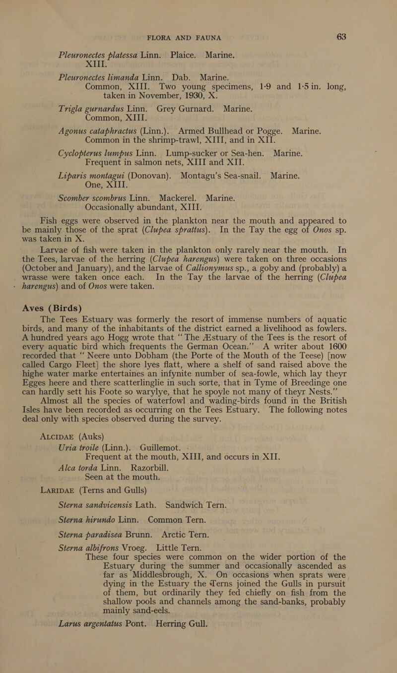 Pleuronectes platessa Linn. Plaice. Marine. Pleuronectes imanda Linn. Dab. Marine. Common, XIII. Two young specimens, 1-9 and 1-5in. long, taken in November, 1930, X. Trigla gurnardus Linn. Grey Gurnard. Marine. Common, XIII. Agonus cataphractus (Linn.). Armed Bullhead or Pogge. Marine. Common in the shrimp-trawl, XIII, and in XII. Cyclopterus lumpus Linn. Lump-sucker or Sea-hen. Marine. Frequent in salmon nets, XIII and XII. Liparis montagu (Donovan). Montagu’s Sea-snail. Marine. One, Scomber scombrus Linn. Mackerel. Marine. Occasionally abundant, XIII. Fish eggs were observed in the plankton near the mouth and appeared to be mainly those of the sprat (Clupea sprattus). In the Tay the egg of Onos sp. was taken in X. Larvae of fish were taken in the plankton only rarely near the mouth. In the Tees, larvae of the herring (Clupea harengus) were taken on three occasions (October and January), and the larvae of Callionymus sp., a goby and (probably) a wrasse were taken once each. In the Tay the larvae of the herring (Clupea - harengus) and of Onos were taken. Aves (Birds) The Tees Estuary was formerly the resort of immense numbers of aquatic birds, and many of the inhabitants of the district earned a livelihood as fowlers. A hundred years ago Hogg wrote that ‘‘ The A’stuary of the Tees is the resort of every aquatic bird which frequents the German Ocean.’’ A writer about 1600 recorded that “‘ Neere unto Dobham (the Porte of the Mouth of the Teese) [now called Cargo Fleet] the shore lyes flatt, where a shelf of sand raised above the highe water marke entertaines an infynite number of sea-fowle, which lay theyr Egges heere and there scatterlinglie in such sorte, that in Tyme of Breedinge one can hardly sett his Foote so warylye, that he spoyle not many of theyr Nests.” Almost all the species of waterfowl and wading-birds found in the British Isles have been recorded as occurring on the Tees Estuary. The following notes deal only with species observed during the survey. ALCIDAE (Auks) Una troile (Linn.). Guillemot. - Frequent at the mouth, XIII, and occurs in XII. Alca torda Linn. Razorbill. Seen at the mouth. LARIDAE (Terns and Gulls) Sterna sandvicensis Lath. Sandwich Tern. Sterna Jivundo Linn. Common Tern. Sterna paradisea Brunn. Arctic Tern. Sterna albifrons Vroeg. Little Tern. These four species were common on the wider portion of the Estuary during the summer and occasionally ascended as far as Middlesbrough, X. On occasions when sprats were dying in the Estuary the Terns joined the Gulls in pursuit of them, but ordinarily they fed chiefly on fish from the shallow pools and channels among the sand-banks, probably mainly sand-eels. Larus argentatus Pont. Herring Gull.