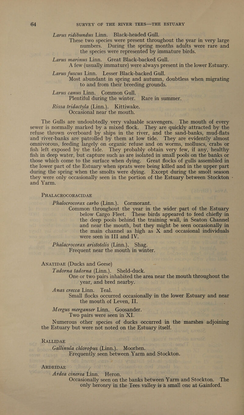 Larus ridibundus Linn. Black-headed Gull. These two species were present throughout the year in very large numbers. During the spring months adults were rare and the species were represented by immature birds. Larus marinus Linn. Great Black-backed Gull. A few (usually immature) were always present in the lower Estuary. Larus fuscus Linn. Lesser Black-backed Gull. | Most abundant in spring and autumn, doubtless when migrating to and from their breeding grounds. Larus canus Linn. Common Gull. Plentiful during the winter. Rare in summer. Rissa tridactyla (Linn.). Kittiwake. Occasional near the mouth. The Gulls are undoubtedly very valuable scavengers. The mouth of every sewer is normally marked by a mixed flock. They are quickly attracted by the refuse thrown overboard by ships in the river, and the sand-banks, mud-flats and river-banks are patrolled by them at low tide. They are evidently almost omnivorous, feeding largely on organic refuse and on worms, molluscs, crabs or fish left exposed by the tide. They probably obtain very few, if any, healthy fish in deep water, but capture such as are isolated in small pools on the banks or those which come to the surface when dying. Great flocks of gulls assembled in the lower part of the Estuary when sprats were being killed and in the upper part. during the spring when the smolts were dying. Except during the smolt season they were only occasionally seen in the portion of the Estuary between Stockton - and Yarm. PHALACROCORACIDAE Phalocrocorax carbo (Linn.). Cormorant. Common throughout the year in the wider part of the Estuary below Cargo Fleet. These birds appeared to feed chiefly in the deep pools behind the training wall, in Seaton Channel and near the mouth, but they might be seen occasionally in the main channel as high as X and occasional individuals were seen in III and IV. Phalacrocorax aristotelis (Linn.). Shag. Frequent near the mouth in winter. ANATIDAE (Ducks and Geese) LTadorna tadorna (Linn.). Sheld-duck. One or two pairs inhabited the area near the mouth throughout the year, and bred nearby. Anas crecca Linn. Teal. Small flocks occurred occasionally in the lower Estuary and near the mouth of Leven, II. Mergus merganser Linn. Goosander. Two pairs were seen in XI. Numerous other species of ducks occurred in the marshes adjoining the Estuary but were not noted on the Estuary itself. RALLIDAE Gallinula chloropus (Linn.). Moorhen. Frequently seen between. Yarm and Stockton. ARDEIDAE / Ardea cinerea Linn. Heron. Occasionally seen on the banks between Yarm and Stockton. The only heronry in the Tees valley is a small one at Gainford.