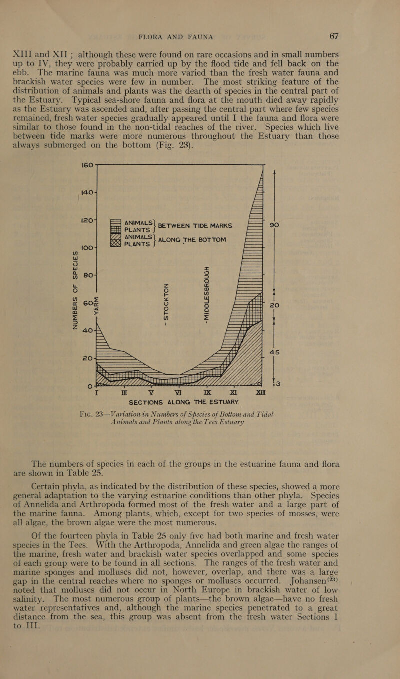 XIII and XII; although these were found on rare occasions and in small numbers up to IV, they were probably carried up by the flood tide and fell back on the ebb. The marine fauna was much more varied than the fresh water fauna and brackish water species were few in number. The most striking feature of the distribution of animals and plants was the dearth of species in the central part of the Estuary. Typical sea-shore fauna and flora at the mouth died away rapidly as the Estuary was ascended and, after passing the central part where few species remained, fresh water species gradually appeared until I the fauna and flora were similar to those found in the non-tidal reaches of the river. Species which live between tide marks were more numerous throughout the Estuary than those always submerged on the bottom (Fig. 23). I60  140  120 piece BETWEEN TIDE MARKS. 90 wed pe el ALONG THE BOTTOM 100 : Y ee O WwW Se 80 3 we Zz - : E g e 6Ox : 20 ra) ha Qo = ”) = j 4 =:40 45 20 —— oh Pa a amen ee pel vt MM AY 4 13 ae Vv wi car of 4 eat. SECTIONS ALONG THE ESTUARY. Fic. 23—Vartation in Numbers of Species of Bottom and Tidal Aiimals and Plants along the Tees Estuary The numbers of species in each of the groups in the estuarine fauna and flora are shown in Table 25. Certain phyla, as indicated by the distribution of these species, showed a more general adaptation to the varying estuarine conditions than other phyla. Species of Annelida and Arthropoda formed most of the fresh water and a large part of the marine fauna. Among plants, which, except for two species of mosses, were all algae, the brown algae were the most numerous. Of the fourteen phyla in Table 25 only five had both marine and fresh water species in the Tees. With the Arthropoda, Annelida and green algae the ranges of the marine, fresh water and brackish water species overlapped and some species of each group were to be found in all sections. The ranges of the fresh water and marine sponges and molluscs did not, however, overlap, and there was a large gap in the central reaches where no sponges or molluscs occurred. Johansen ®) noted that molluscs did not occur in North Europe in brackish water of low salinity. The most numerous group of plants—the brown algae—have no fresh water representatives and, although the marine species penetrated to a great distance from the sea, this group was absent from the fresh water Sections I to III.