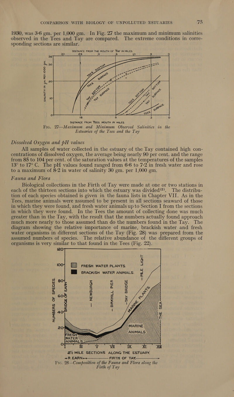 1930, was 3-6 gm. per 1,000 gm. In Fig. 27 the maximum and minimum salinities observed in the Tees and Tay are compared. The extreme conditions in corre- sponding sections are similar. DISTANCE FROM THE MOUTH OF TAY IN MILES. 25 oO S ce)  20 SALINITY IN gm. PER 1000 gm. 5 Dissolved Oxygen and pH values All samples of water collected in the estuary of the Tay contained high con- centrations of dissolved oxygen, the average being nearly 90 per cent. and the range from 85 to 104 per cent. of the saturation values at the temperatures of the samples 13° to 17° C. The pH values found ranged from 6-6 to 7-2 in fresh water and rose to a maximum of 8-2 in water of salinity 30 gm. per 1,000 gm. Fauna and Flora Biological collections in the Firth of Tay were made at one or two stations in each of the thirteen sections into which the estuary was divided®). The distribu- tion of each species obtained is given in the fauna lists in Chapter VII. As in the Tees, marine animals were assumed to be present in all sections seaward of those in which they were found, and fresh water animals up to Section I from the sections in which they were found. In the Tees the amount of collecting done was much greater than in the Tay, with the result that the numbers actually found approach much more nearly to those assumed than do the numbers found in the Tay. The diagram showing the relative importance of marine, brackish water and fresh water organisms in different sections of the Tay (Fig. 28) was prepared from the assumed numbers of species. The relative abundance of the different groups of organisms is very similar to that found in the Tees (Fig. 22). 20          (0) FRESH WATER PLANTS. MM BRACKISH WATER ANIMALS. —PILE LIGHT       mM) « uw tl x a = 2 oc a rea) =f fea) 7) = oy iw us x x 1) z x E x | &lt; 4 | oO Ir 5 a = - ra z i eel 2'6 MILE SECTIONS ALONG THE ESTUARY. +R. EARN2 FIRTH OF TAY. lic. 28—Composttion of the Fauna and Flora along the Firth of Tay  