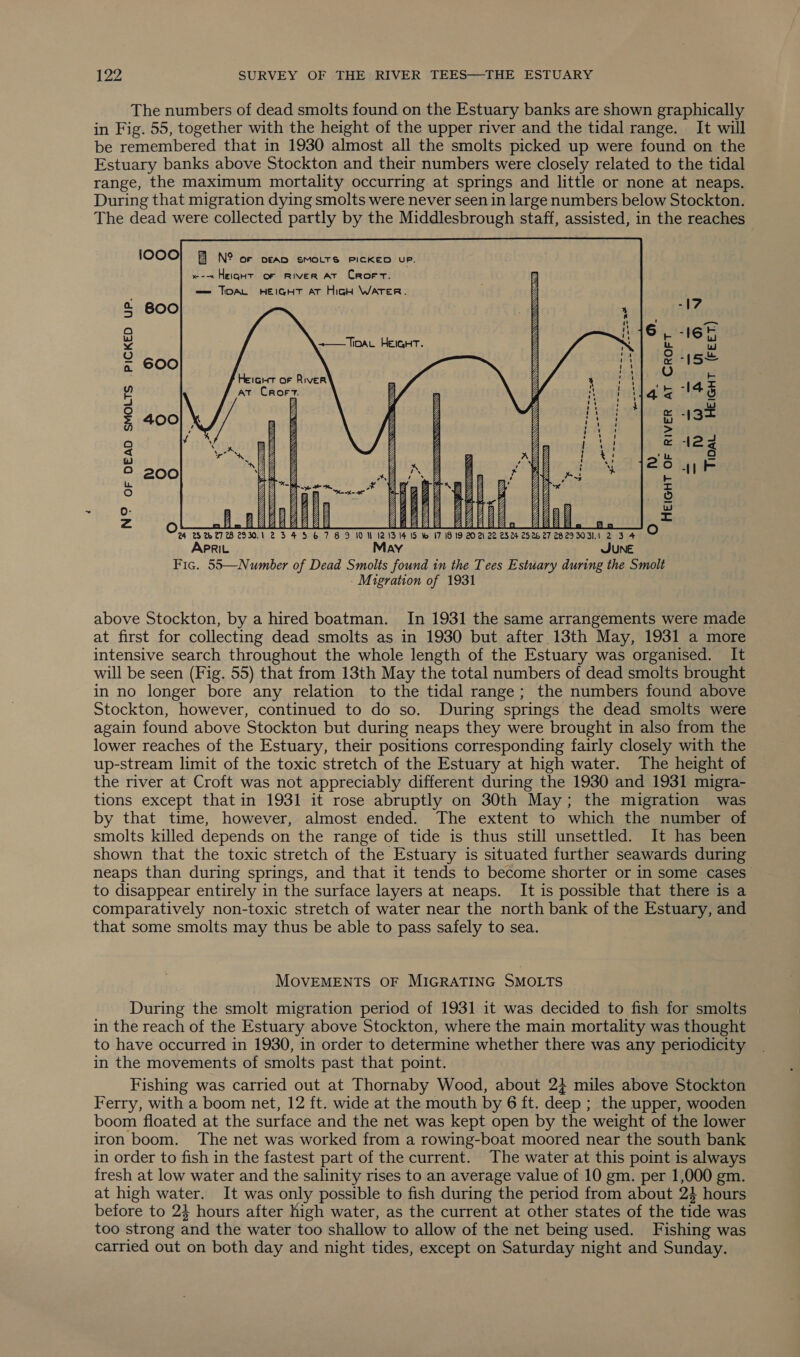 The numbers of dead smolts found on the Estuary banks are shown graphically in Fig. 55, together with the height of the upper river and the tidal range. It will be remembered that in 1930 almost all the smolts picked up were found on the Estuary banks above Stockton and their numbers were closely related to the tidal range, the maximum mortality occurring at springs and little or none at neaps. During that migration dying smolts were never seen in large numbers below Stockton. The dead were collected partly by the Middlesbrough staff, assisted, in the reaches    1000 N° oF DEAD SMOLTS PICKED UP. w-~ Height of river At Crorrt. == TIDAL HEIGHT AT High WATER.  ; 5 600 7 ) ; Z fa Z 6,-165 or) +—TioaL HEIGHT. ) b a eZ | 2-15 : Yj O nes Heigut of River Z ; ae at CrRoF7. J 4 - OS 5 i ) j i rm Z m4 we. 2 400 , i ] ep w IS Uy j $0 = Q al V —D . e deg &lt; w Z : Gaz t ra} w ny y 2 uy ‘ 26 FE GY % be * cS 2° 200 a ye WV * Hig, ie Pt Px % AY fo) ZA ow ~2AY AY Fo Uv nV av Guy y w O- A aU any a —Y = 24 2 27 WB 2930.1 23456789 10 N 121314 15 w I7 1819 202 22 2524 2526 27 28293031.1 2 3 4  APRIL May JUNE Fic. 55—Number of Dead Smolts found in the Tees Estuary during the Smolt - Migration of 1931 above Stockton, by a hired boatman. In 1931 the same arrangements were made at first for collecting dead smolts as in 1930 but after 13th May, 1931 a more intensive search throughout the whole length of the Estuary was organised. It will be seen (Fig. 55) that from 13th May the total numbers of dead smolts brought in no longer bore any relation to the tidal range; the numbers found above Stockton, however, continued to do so. During springs the dead smolts were again found above Stockton but during neaps they were brought in also from the lower reaches of the Estuary, their positions corresponding fairly closely with the up-stream limit of the toxic stretch of the Estuary at high water. The height of the river at Croft was not appreciably different during the 1930 and 1931 migra- tions except that in 1931 it rose abruptly on 30th May; the migration was by that time, however, almost ended. The extent to which the number of smolts killed depends on the range of tide is thus still unsettled. It has been shown that the toxic stretch of the Estuary is situated further seawards during neaps than during springs, and that it tends to become shorter or in some cases” to disappear entirely in the surface layers at neaps. It is possible that there is a comparatively non-toxic stretch of water near the north bank of the Estuary, and that some smolts may thus be able to pass safely to sea. MOVEMENTS OF MIGRATING SMOLTS During the smolt migration period of 1931 it was decided to fish for smolts in the reach of the Estuary above Stockton, where the main mortality was thought to have occurred in 1930, in order to determine whether there was any periodicity in the movements of smolts past that point. Fishing was carried out at Thornaby Wood, about 24 miles above Stockton Ferry, with a boom net, 12 ft. wide at the mouth by 6 ft. deep ; the upper, wooden boom floated at the surface and the net was kept open by the weight of the lower iron boom. The net was worked from a rowing-boat moored near the south bank in order to fish in the fastest part of the current. The water at this point is always fresh at low water and the salinity rises to an average value of 10 gm. per 1,000 gm. at high water. It was only possible to fish during the period from about 24 hours before to 24 hours after high water, as the current at other states of the tide was too strong and the water too shallow to allow of the net being used. Fishing was carried out on both day and night tides, except on Saturday night and Sunday.