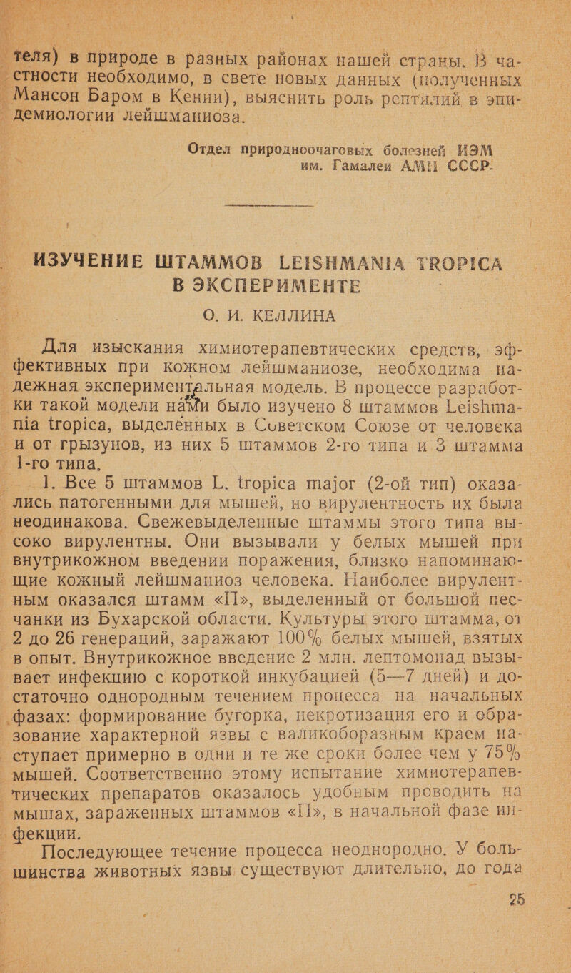   Е у  в необходимо, в свете новых данных (полученных _ Мансон Баром в Кении), выяснить роль рептилий в эпи- ° демиологии лейшманиоза. р. т Отдел природноочаговых болезней ИЭМ им. Гамалеи АМН СССР. КА % } р ° ИЗУЧЕНИЕ ШТАММОВ 1Е!$НМАМА ТВОР!СА В ЭКСПЕРИМЕНТЕ и О. И. КЕЛЛИНА еж | Для изыскания химиотерапевтических средств, эф- ’фективных при кожном лейшманиозе, необходима на- | ‚ дежная О модель. В процессе разработ- _ ки такой модели наМи было изучено 8 штаммов ГезВта- Ша ор!са, выделенных в Советском Союзе от человека _ и от грызунов, из них э штаммов 2-го типа и 3 штамма. _ 1-го типа. — Г _ |. Все 5 штаммов Г. Тор!са та]ог (2-ой тип) оказа- _ лись патогенными для мышей, но вирулентность их была _ неодинакова. Свежевыделенные штаммы этого типа вы- ’соко вирулентны. Они вызывали у белых мышей при щие кожный лейшманиоз человека. Наиболее вирулент- ным оказался штамм «П», выделенный от большой пес- чанки из Бухарской области. Культуры этого штамма, 07 _2 до 26 генераций, заражают 100% белых мышей, взятых _ в опыт. Внутрикожное введение 2 млн. лептомонад вызы- вает инфекцию с короткой инкубацией (5—7 дней) и до- статочно однородным течением процесса на начальных ’Ффазах: формирование бугорка, некротизация его и обра- ’зование характерной язвы с валикоборазным краем на- ступает примерно в одни и те же сроки более чем у 75% мышей. Соответственно этому испытание химиотерапев- тических препаратов оказалось удобным проводить на ’ мышах, зараженных штаммов «П», в начальной фазе ия- _ фекции. | Последующее течение процесса неоднородно. У боль- _шинства животных язвы существуют длительно, до года |. г