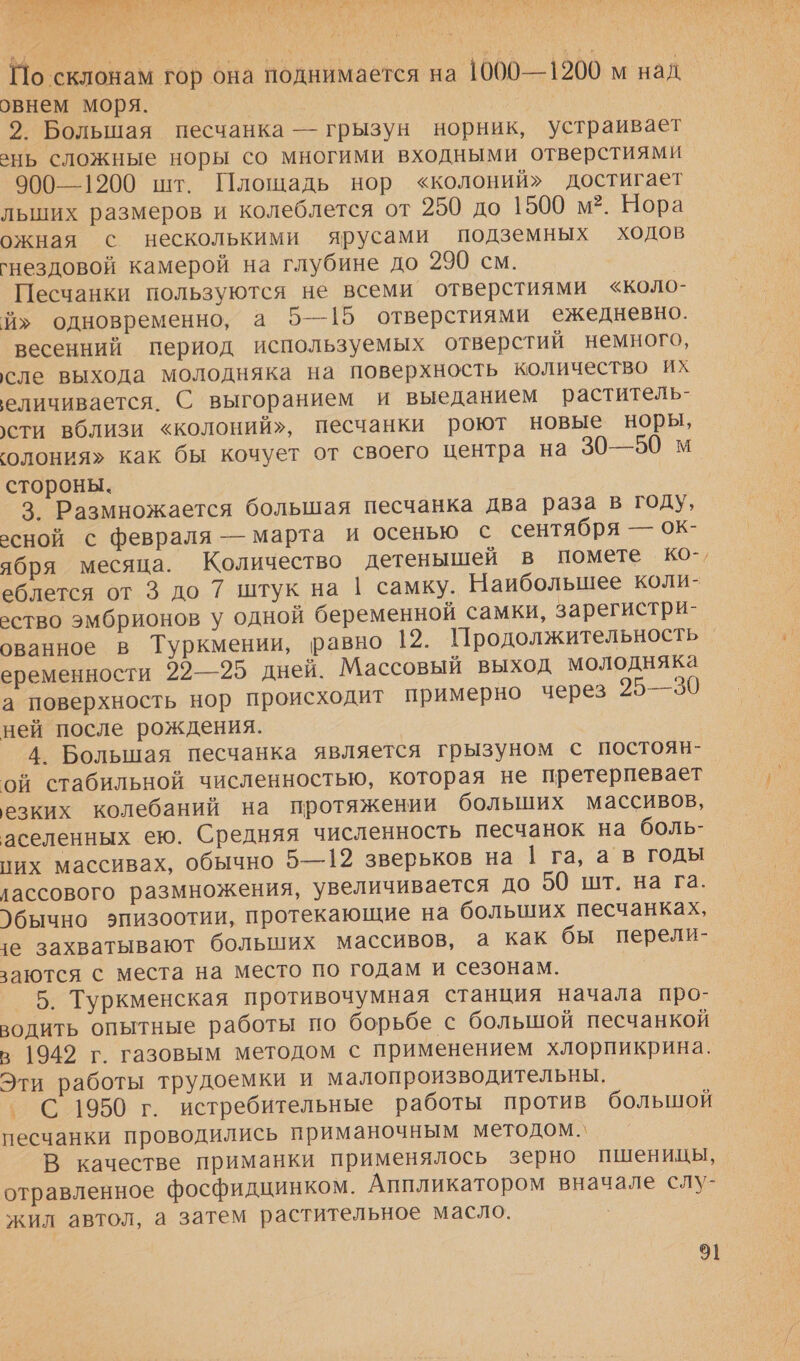 По склонам гор она поднимается на 1000—1200 м над. овнем моря. | 2. Большая песчанка — грызун норник, устраивает ань сложные норы со многими входными отверстиями 900—1200 шт. Плошадь нор «колоний» достигает льших размеров и колеблется от 250 до 1500 м?. Нора ожная с несколькими ярусами подземных ходов гнездовой камерой на глубине до 290 см. | Песчанки пользуются не всеми отверстиями «коло- й» одновременно, а 5—15 отверстиями ежедневно. весенний период используемых отверстий немного, сле выхода молодняка на поверхность количество их еличивается. С выгоранием и выеданием раститель- сти вблизи «колоний», песчанки роют новые норы, ‹олония» как бы кочует от своего центра на 30—50 м стороны. 3. Размножается большая песчанка два раза в году, осной с февраля — марта и осенью с сентября — ок- ября месяца. Количество детенышей в помете ко-, еблется от 3 до 7 штук на 1 самку. Наибольшее коли- ество эмбрионов у одной беременной самки, зарегистри- ованное в Туркмении, равно 12. Продолжительность еременности 22—25 дней. Массовый выход молодняка а поверхность нор происходит примерно через 25—30 ней после рождения. 4. Большая песчанка является грызуном с постоян- ой стабильной численностью, которая не претерпевает езких колебаний на протяжении больших массивов, аселенных ею. Средняя численность песчанок на боль- них массивах, обычно 5—12 зверьков на | га, а в годы лассового размножения, увеличивается до 50 шт. на га. )бычно эпизоотии, протекающие на больших песчанках, е захватывают больших массивов, а как бы перели- заются с места на место по годам и сезонам. 5. Туркменская противочумная станция начала про- водить опытные работы по борьбе с большой песчанкой в 1942 г. газовым методом с применением хлорпикрина. Эти работы трудоемки и малопроизводительны. °С 1950 г. истребительные работы против большой песчанки проводились приманочным методом. В качестве приманки применялось зерно пшеницы, отравленное фосфидцинком. Аппликатором вначале слу- жил автол, а затем растительное масло.