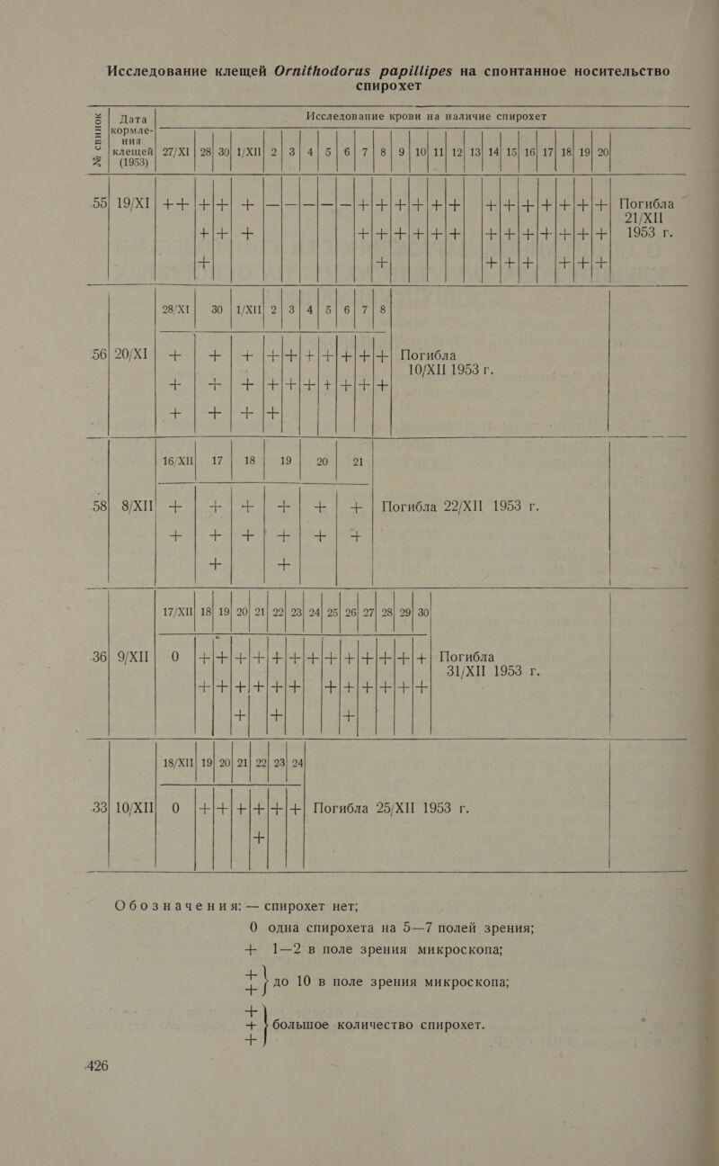 Исследование клещей Огиййо4оги$ рарИИре$ на спонтанное носительство  спирохет х | Дата Исследование крови на наличие спирохет = |кормле- г: НИЯ > О 27/Х1 | 28| 30] 1/ХШ| 21 3|415|6|7| 8] 9 | 10] 11| 12] 131 14| 15] 16] 17| 18] 19] 20 53)                         АРЕНЕ ЕЕ РЕ РЕ ТОТИ О о 2ИХИ +++ +++ | 1953 г. +++! +++ 55] 19/хИ| ++ ++ + ||| Е: -— 28/Х1 213           ХИ  8 56 20/ХГ| - +++ | Погибла 10/ХИ 1953 г. - -Н Е ЕЕ     ЕН 16/хи| 17| 18 [вм 19| 20| 21 58] 8хИ + |+|+|+|+| + | Погибла 22ХИ 1958 г. РИН +3 о т | 17/ХП] 18| 19| 20! 21| 22] 23] 24| 95] 26] 27| 28] 29] 30              о Погибла 36] 9/хи| 0 |+ ЗИХИ 1953 г.        -Е-ЕН-ННЕН-ЫНЕЕ НН-ННЕНЕННЫЕ иж ск 18/ХИ]| 19] 20| 21| 22 ; 24 33] 10хШ 0 -+-+++-|-|--| Погибла 25/ХИ 1953 г. +  Обозначения: — спирохет нет; 0 одна спирохета на 5—7 полей зрения; + 1—2 в поле зрения микроскопа; +++ ++ большое количество спирохет. -426 