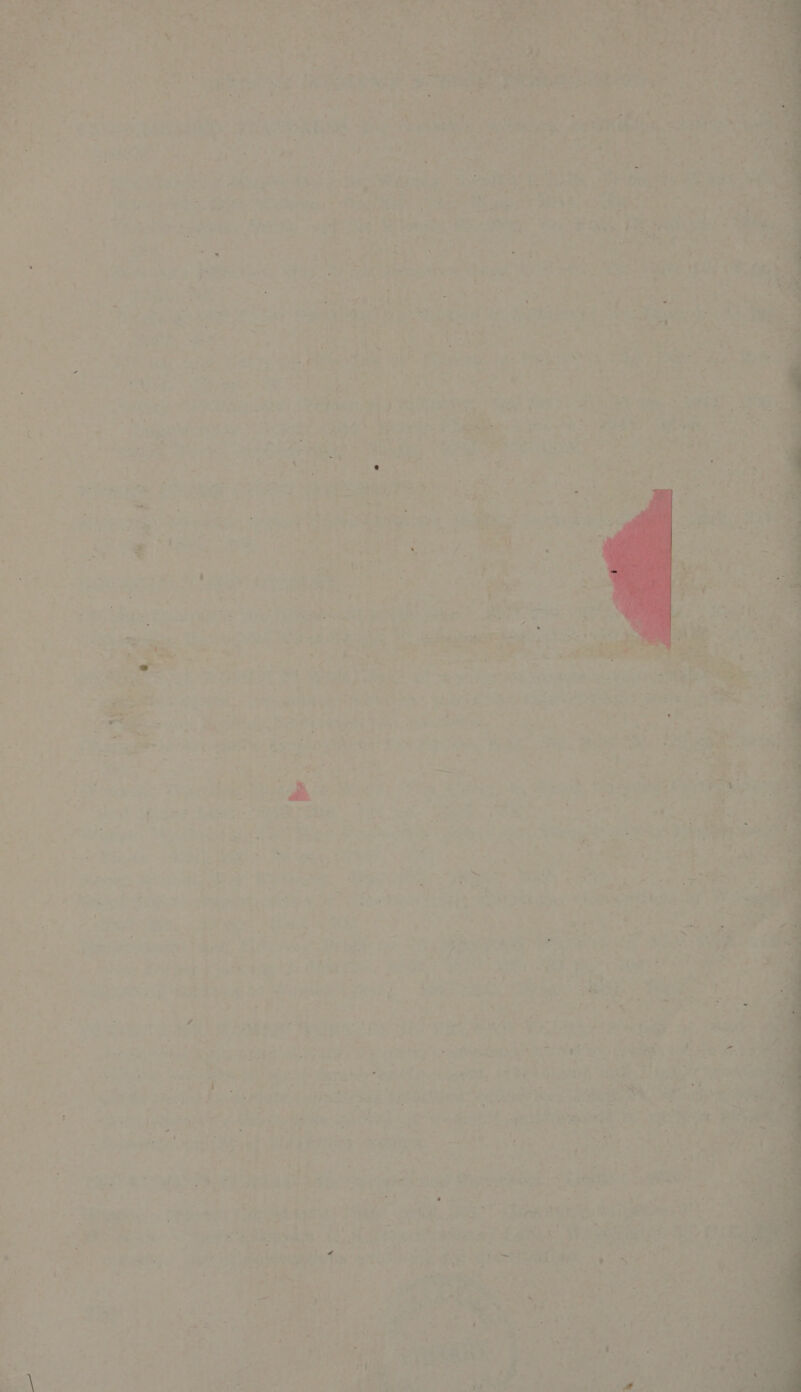      £F E ee - s »- ‘os ‘om nies bees ot me tes ee ae sae eeriat }* i. oo a ‘: 7 ae a ia re oto oe e pore. ne arte - rise pice aa i, . : Pang <b cag ee i Mieke                 7 7 ‘ ae ‘ = ¥ le — a ra >? . ae ae Pat aie Mtoe 3 ee oe 1 % af z s 7 ye pe. a # ot be : : “ 2 Be : i <2 , . 4 4 ‘lie ‘ é : i] ~ os Pex 4 ¢ = ia n hy : V ‘A , t } ~ ied hay ed ay. p re — = sf Zz 4 ~ rie - 7 ; T- . rn s+ * P of hd cp | ; ee = re ; ee fe os yn tae hy Ret “5,2” Ye ‘ Bae. eS anal se te a Sere oe ee i ae boar y Si) . 4 : : a | : Me My kd “i 5 cs, | Rate 4 iain’ i ie he Fr i «pe ae ea. eee aD, | ee oo a: Pika =z ne: ta Pare aa ae { - : ~~ # mony od a a eee oe '- $84 a eae 4 A - > > * Le* eee. $2 hh . , . 7 ot Wet’ oe = 7 be FF tM Meet Rey. 4 fg Sn op Sere wry a ete ih AA: eH i 7 j= . eo re r sa 5% ene ae) +i en oe! a ae . : a ite, Ve ee ieee ew | hes - \ i iat - , % 4 be € at . —_ ay 2» i ; ; : : P A : Cy i ‘ a. q i 7 Se eet Bae Ad. fre. = 4 &amp; ee oe Ts f= 7 ; ; ree - - = - sear Siig ae eat ie ey : if hae ¢? , sede ny a aco planatep ene eh eine         4 1 a3¢ peta Ss Sirians 3 HiPaS: abe es ae oe x  h Coe d 4 H ro 4 i yoy aha ee ¥: ir et ags ee me avg oes ne a r ae Fe ni ty 5 ei :: Se in!   