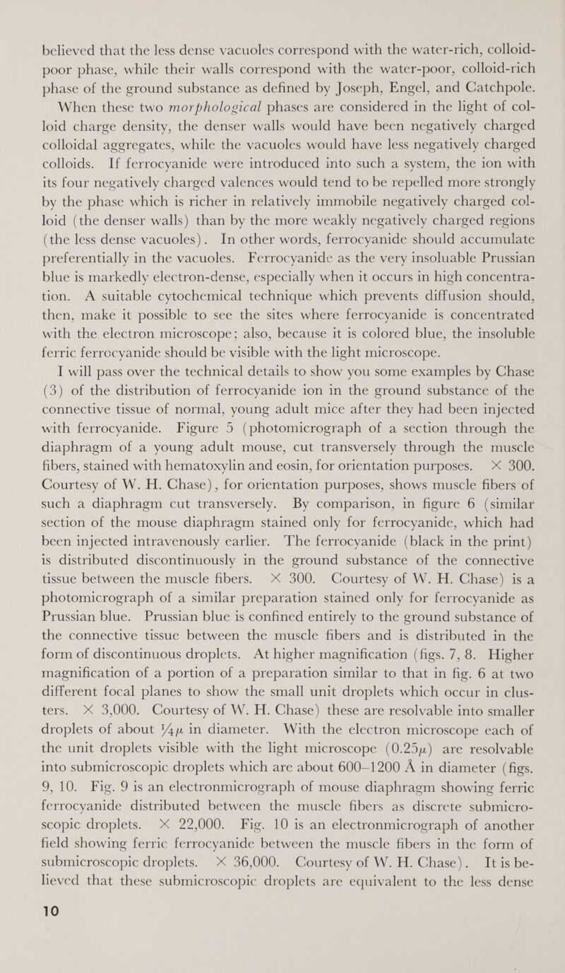 believed that the less dense vacuoles correspond with the water-rich, colloid- poor phase, while their walls correspond with the water-poor, colloid-rich phase of the ground substance as defined by Joseph, Engel, and Catchpole. When these two morphological phases are considered in the light of col- loid charge density, the denser walls would have been negatively charged colloidal aggregates, while the vacuoles would have less negatively charged colloids. If ferrocyanide were introduced into such a system, the ion with its four negatively charged valences would tend to be repelled more strongly by the phase which is richer in relatively immobile negatively charged col- loid (the denser walls) than by the more weakly negatively charged regions (the less dense vacuoles). In other words, ferrocyanide should accumulate preferentially in the vacuoles. Ferrocyanide as the very insoluable Prussian blue is markedly electron-dense, especially when it occurs in high concentra- tion. A suitable cytochemical technique which prevents diffusion should, then, make it possible to see the sites where ferrocyanide 1s concentrated with the electron microscope; also, because it is colored blue, the insoluble ferric ferrocyanide should be visible with the light microscope. I will pass over the technical details to show you some examples by Chase (3) of the distribution of ferrocyanide ion in the ground substance of the connective tissue of normal, young adult mice after they had been injected with ferrocyanide. Figure 5 (photomicrograph of a section through the diaphragm of a young adult mouse, cut transversely through the muscle fibers, stained with hematoxylin and eosin, for orientation purposes. 300. Courtesy of W. H. Chase), for orientation purposes, shows muscle fibers of such a diaphragm cut transversely. By comparison, in figure 6 (similar section of the mouse diaphragm stained only for ferrocyanide, which had been injected intravenously earlier. The ferrocyanide (black in the print) is distributed discontinuously in the ground substance of the connective tissue between the muscle fibers. X 300. Courtesy of W. H. Chase) is a photomicrograph of a similar preparation stained only for ferrocyanide as Prussian blue. Prussian blue is confined entirely to the ground substance of the connective tissue between the muscle fibers and 1s distributed in the form of discontinuous droplets. At higher magnification (figs. 7, 8. Higher magnification of a portion of a preparation similar to that in fig. 6 at two different focal planes to show the small unit droplets which occur in clus- ters. X 3,000. Courtesy of W. H. Chase) these are resolvable into smaller droplets of about 4% in diameter. With the electron microscope each of the unit droplets visible with the light microscope (0.25) are resolvable into submicroscopic droplets which are about 600-1200 A in diameter (figs. 9,10. Fig. 9 is an electronmicrograph of mouse diaphragm showing ferric ferrocyanide distributed between the muscle fibers as discrete submicro- scopic droplets. 22,000. Fig. 10 is an electronmicrograph of another field showing ferric ferrocyanide between the muscle fibers in the form of submicroscopic droplets. 36,000. Courtesy of W. H. Chase). It is be- lieved that these submicroscopic droplets are equivalent to the less dense