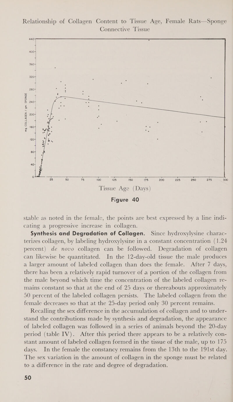 Relationship of Collagen Content to Tissue Age, Female Rats—Sponge Connective ‘Tissue  mg. COLLAGEN / gm. SPONGE : Ny fe) {e)   a Py e ° 120 ty Re . ° 80 40-| fot a + ~—— —- ————— T T 25 50 75 100 125 150 175 200 225 250 275 300 Tissue Age (Days) Figure 40 stable as noted in the female, the points are best expressed by a line indi- cating a progressive increase in collagen. Synthesis and Degradation of Collagen. Since hydroxylysine charac- terizes collagen, by labeling hydroxylysine in a constant concentration (1.24 percent) de novo collagen can be followed. Degradation of collagen can likewise be quantitated. In the 12-day-old tissue the male produces a larger amount of labeled collagen than does the female. After 7 days, there has been a relatively rapid turnover of a portion of the collagen from the male beyond which time the concentration of the labeled collagen re- mains constant so that at the end of 25 days or thereabouts approximately 50 percent of the labeled collagen persists. The labeled collagen from the female decreases so that at the 25-day period only 30 percent remains. Recalling the sex difference in the accumulation of collagen and to under- stand the contributions made by synthesis and degradation, the appearance of labeled collagen was followed in a series of animals beyond the 20-day period (table IV). After this period there appears to be a relatively con- stant amount of labeled collagen formed in the tissue of the male, up to 175 days. In the female the constancy remains from the 13th to the 191st day. The sex variation in the amount of collagen in the sponge must be related to a difference in the rate and degree of degradation.