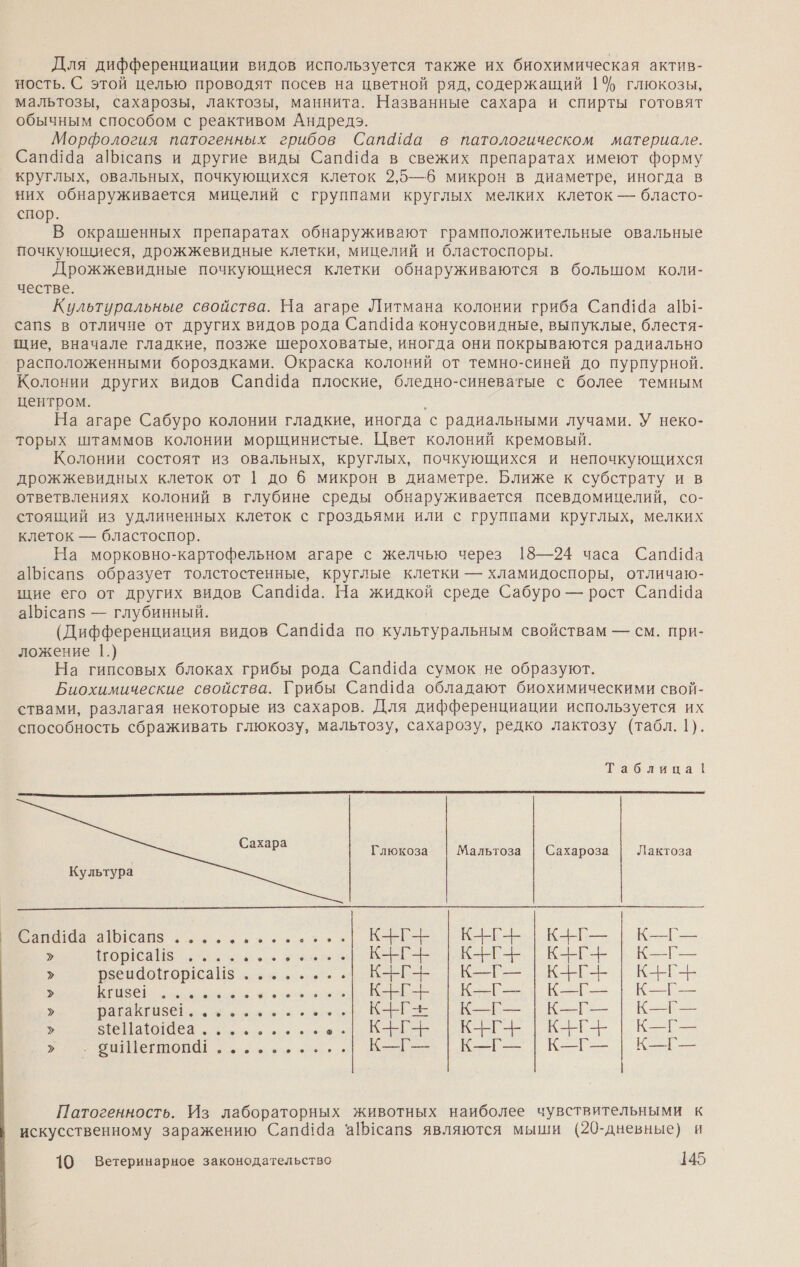 Для дифференциации видов используется также их биохимическая актив- ность. С этой целью проводят посев на цветной ряд, содержащий 1% глюкозы, мальтозы, сахарозы, лактозы, маннита. Названные сахара и спирты готовят обычным способом с реактивом Андредэ. Морфология патогенных грибов Сапа в патологическом материале. Сапа а1сапз и другие виды Сап@!Ча в свежих препаратах имеют форму круглых, овальных, почкующихся клеток 2,5—6 микрон в диаметре, иногда в них обнаруживается мицелий с группами круглых мелких клеток — бласто- спор. В окрашенных препаратах обнаруживают грамположительные овальные почкующиеся, дрожжевидные клетки, мицелий и бластоспоры. Дрожжевидные почкующиеся клетки обнаруживаются в большом коли- честве. Культуральные свойства. На агаре Литмана колонии гриба Сап 14а а1- сапз в отличие от других видов рода Сапа конусовидные, выпуклые, блестя- щие, вначале гладкие, позже шероховатые, иногда они покрываются радиально расположенными бороздками. Окраска колоний от темно-синей до пурпурной. Колонии других видов Сапа плоские, бледно-синеватые с более темным центром. На агаре Сабуро колонии гладкие, иногда с радиальными лучами. У неко- торых штаммов колонии морщинистые. Цвет колоний кремовый. Колонии состоят из овальных, круглых, почкующихся и непочкующихся дрожжевидных клеток от | до 6 микрон в диаметре. Ближе к субстрату и в ответвлениях колоний в глубине среды обнаруживается псевдомицелий, со- стоящий из удлиненных клеток с гроздьями или с группами круглых, мелких клеток — бластоспор. На морковно-картофельном агаре с желчью через 18—24 часа Сапа а!сапз образует толстостенные, круглые клетки — хламидоспоры, отличаю- щие его от других видов Сап@19а. На жидкой среде Сабуро — рост Сапа а1Ь1сапз — глубинный. (Дифференциация видов Сап414а по культуральным свойствам — см. при- ложение 1.) На гипсовых блоках грибы рода Сап 14а сумок не образуют. Биохимические свойства. Грибы Сап4 14а обладают биохимическими свой- ствами, разлагая некоторые из сахаров. Для дифференциации используется их способность сбраживать глюкозу, мальтозу, сахарозу, редко лактозу (табл. |). Таблина |    Глюкоза Мальтоза | Сахароза Лактоза Культура  Сапа19а а11сапз еее. КГ | КГ | КГ— | К—Г— Вора ионы КЕ ЕЕ КЕ В КГ реенаонора 5 еее ЕК | КН Кгизе! „еее .| К-ЕГ- | К-Г— | КГ | КГ— ВЕ Ве ен ны Е К з1еа1о1Чеа о .| КАЕГ-Ы | КГ | КГ- | К_Г— ОШегровай „ен... КР. | КР КГ К-т мы Патогенность. Из лабораторных животных наиболее чувствительными к искусственному заражению Сап4!4а ‘а1сапз являются мыши (20-дневные) и