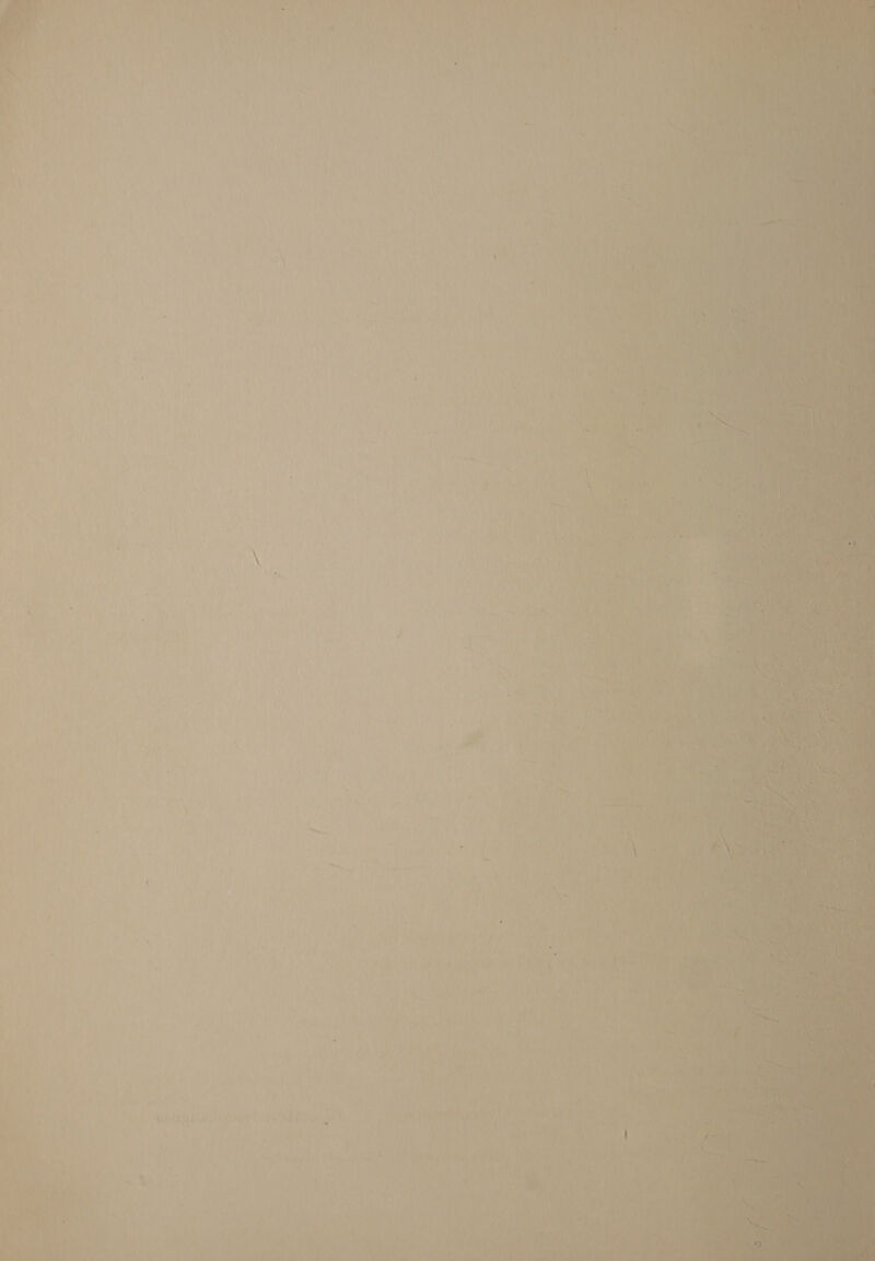   tye pt ana a ; iy br y Ways ; + ay y Se Da rend Wc. ' H h