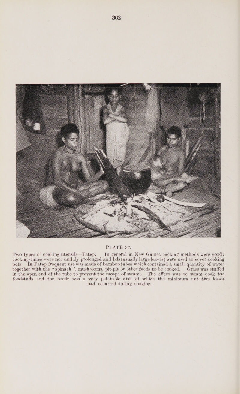 Two types of cooking utensils—Patep. In general in New Guinea cooking methods were good: cooking-times were not unduly prolonged and lids (usually large leaves) were used to cover cooking pots. In Patep frequent use was made of bamboo tubes which contained a small quantity of water together with the ‘“‘spinach”’, mushrooms, pit-pit or other foods to be cooked. Grass was stuffed in the open end of the tube to prevent the escape of steam. The effect was to steam cook the foodstuffs and the result was a very palatable dish of which the minimum nutritive losses had occurred during cooking.