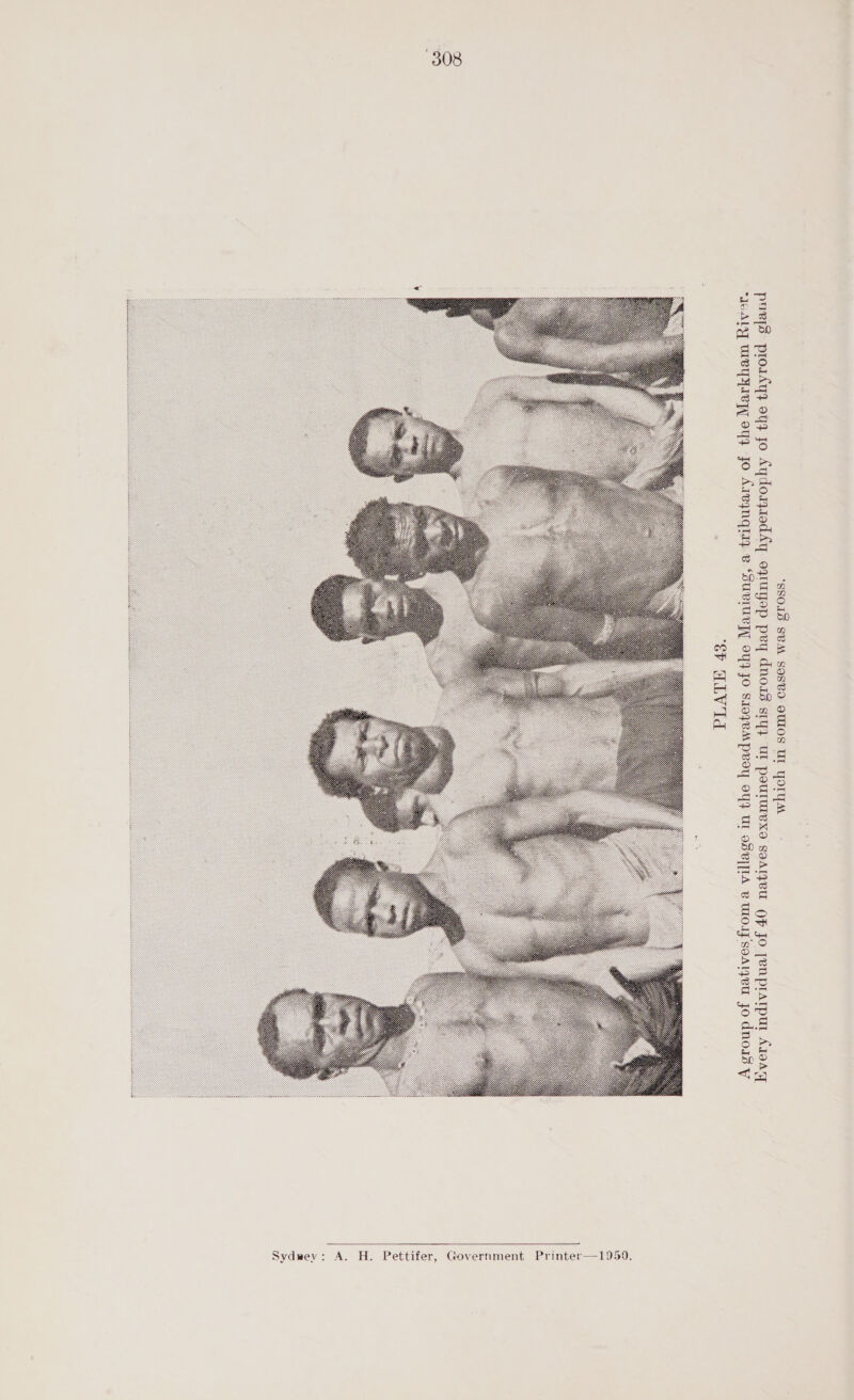 SSO1S SVM SOSBO OUOS UL YOIYM purrs proityy 043 Jo AydossedAy ogtugep pey dnous styz Ul pourMExo soAtyeU (OP Jo [eNprArpul AIOAT “SAL VY IL oy} Jo Arveqgnqiz v ‘SuULIULY OY} JO S1oyVMprRoY O44 UL oSeILA vB WO’ SsoAlyeU Jo dnois VY  A. H. Pettifer, Government Printer—1950. ydnrey : Ss