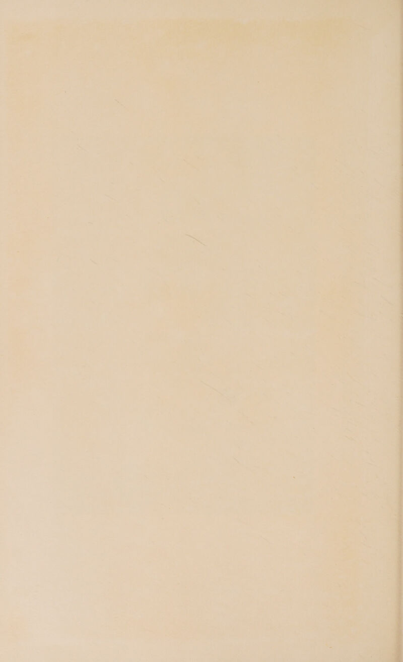 a ’ eee pega eee iia oes 