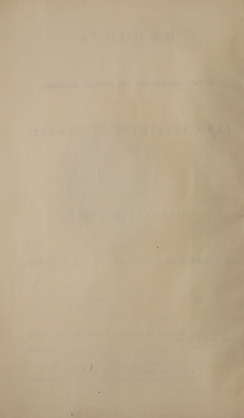   7eeoduld THAWSe WO WOIeat MOU “ae a, i      1 » ye wr i } aan . a . a 2 j  fe ; ‘ £ Ties oe Bee } ; iM ‘ a % wt i ; % 4 x i ; % pian F : ‘ io oy yee . te y ae in ee » 3 puke 4 : Rae ay’ mat as SS ee Ae bene