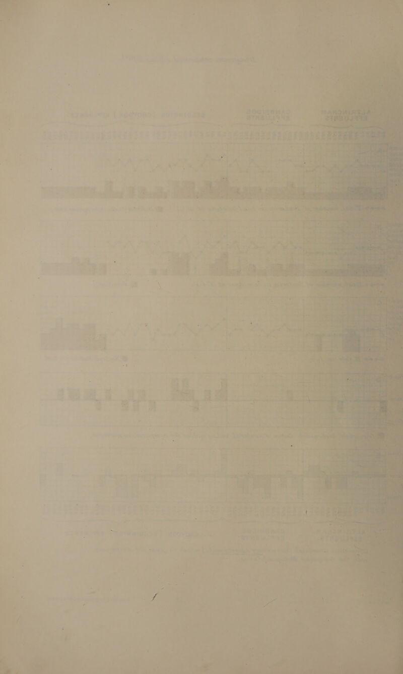 = = s = a —_ ¢ - ‘ ‘f  - ae ar rt 7] en ae a &amp; &gt; | fs Ps ~ F _ ee | 2 2,63 z See ‘ \ \ % ® ~ ve “1 ' ; eB i L 7” ae oe, y ar rey ye «&lt; ee rx 4 agals g . ey a8 J ~4e5 an a iM ae i rh! &gt; , af 7 = ( — - i  ve bei? “Bogi@ewas ab BTHS USAR —— _ ne i : - Ne enna Dic eaeiiaiie inh he ae adalat Li, 1a . Evers ao - ke ae oo yag hp ncaa tons cae Hl 4 te       pee Saran Nee oy er ~ &amp;$ TRRSSee cage ita : “er? «xv a mess ieee et a9 ~~ , Mriett Sa eats FAR j WiB2 GSA9E “f.3 “dad a Owe Lacs) Per wigde gyre roe: we iq os * Jie wY 7 Noe se *S ft $ ° ' ; % d a e &amp; | ae Pp -, ~~ a ha’ oa