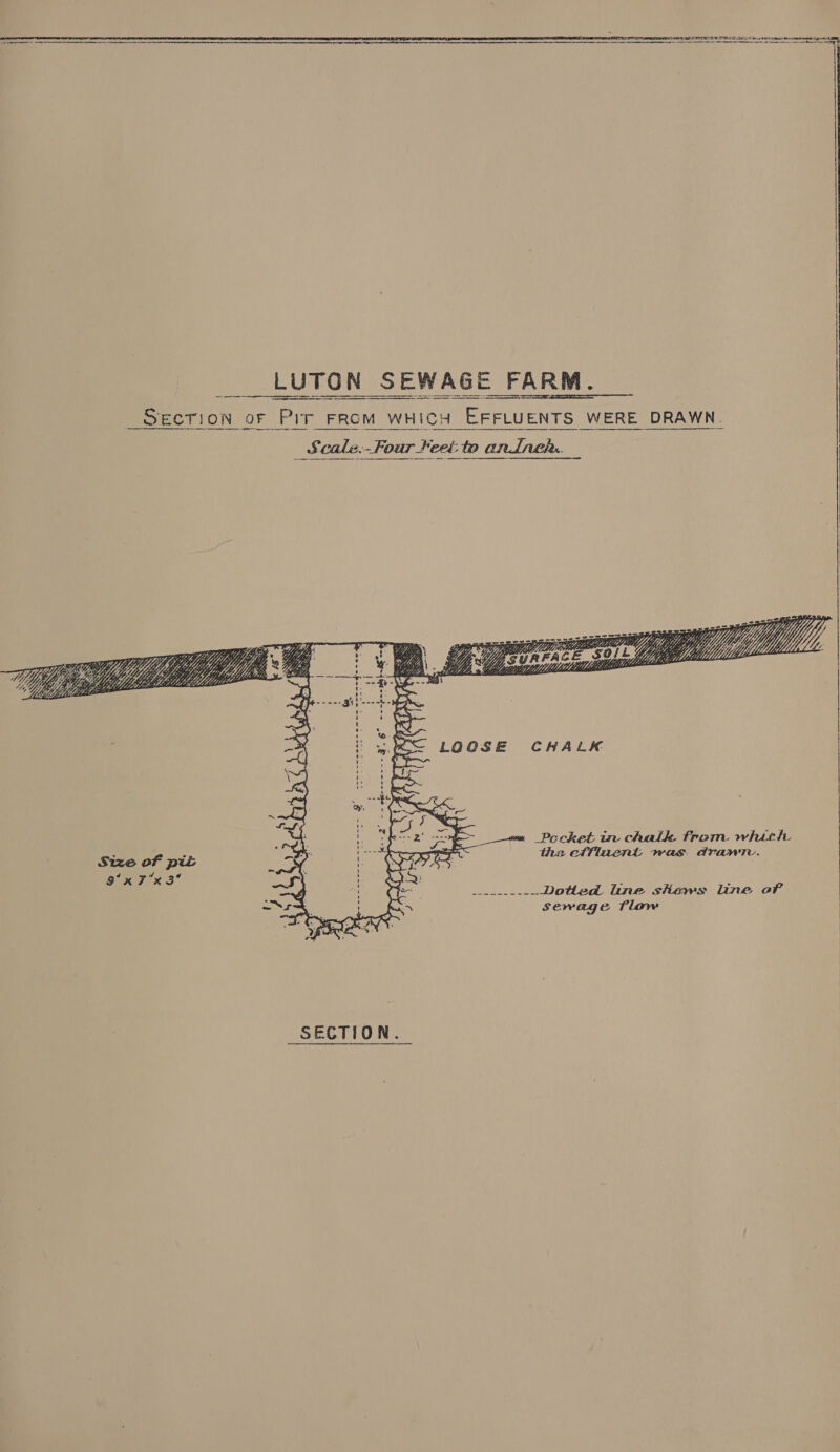         athe  | ! | f----4   Sok eo 2 t' » gy A Mey 1 te &amp; i wth = LOOSE aa tate ie or ‘ az SECTION.    the effluent was. drawn. Dotted line sHaws line of sewage flaw 