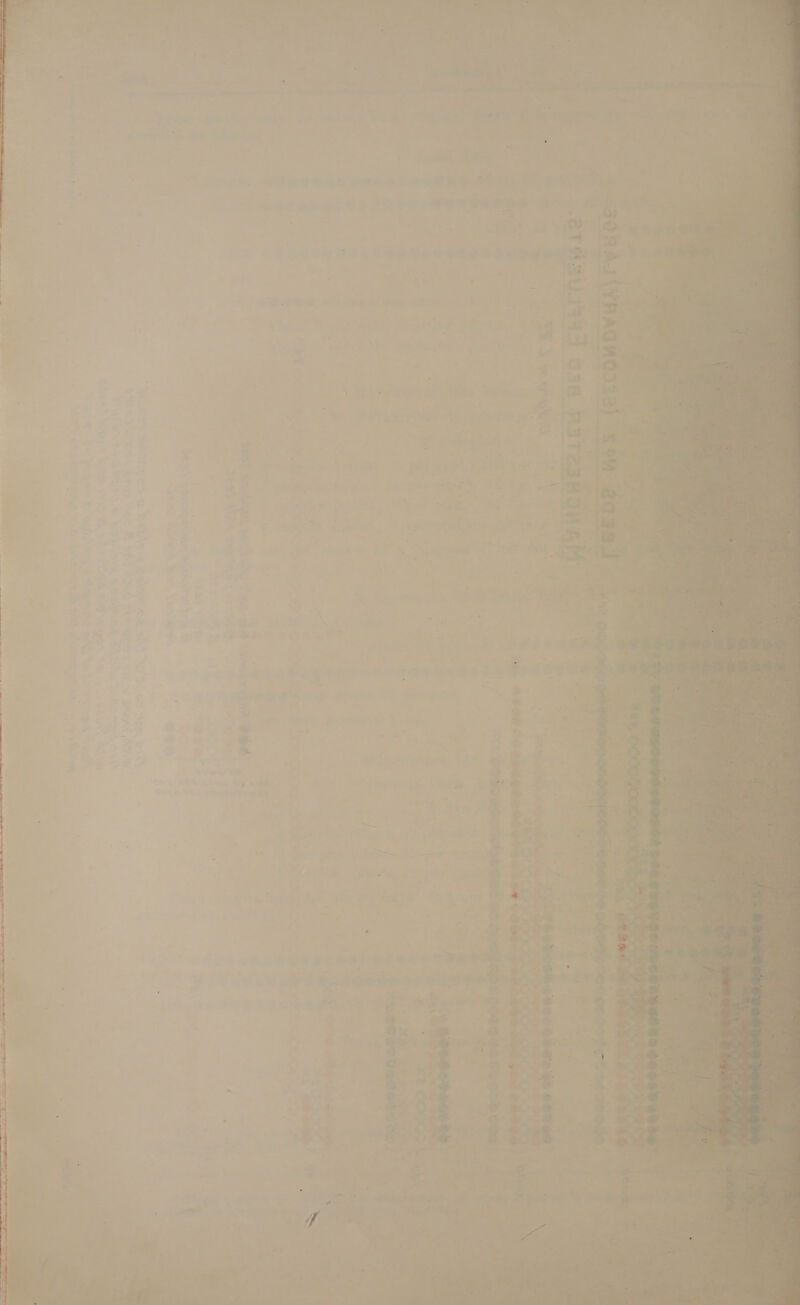   Sri Ce Rh ET SIE , we Se ae  eens”  SS ran (py eee u       cy * 1 eb a &gt; O-ie aeee. = Bh ot wae 0 2 trays gee mane aie es: i eas er 1 - &gt; ameter ss bongeliedy | a . Y fi 4 J ‘lh = s) rT , ys ‘ Ch a, 5 ae &gt; s 5 : af \ - ' : i . + , } ; an , an =X ‘ in P aa % rt ite —w, “, y ie aes — 5 - . ILOSGr aE SSS rae &gt; = ; * 7 a a “. &gt; 3 A 76s y 7 - hte oe. fas ¥ oe - Fe