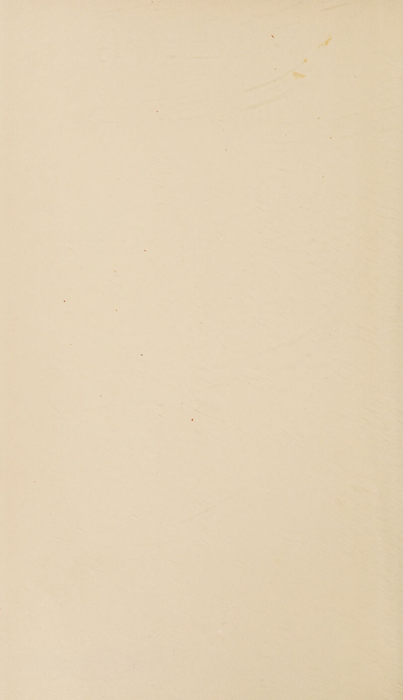 4 : ate ar i On -7 : es shy : jon yer ae ae : b Liev aD eee rie wd a ™—-. . — ' , ve : a é a ae ‘ ¢ id re) + ‘ = 4 , : 7 * o 7 as . , f en = A 5 ar why ~. . “ ES f ~ BS ’ , $4 : - . > Cw 2 4 . ae rk ~. @ 7 ~* = : Sopa ae i . < Ate ie ~ E . va