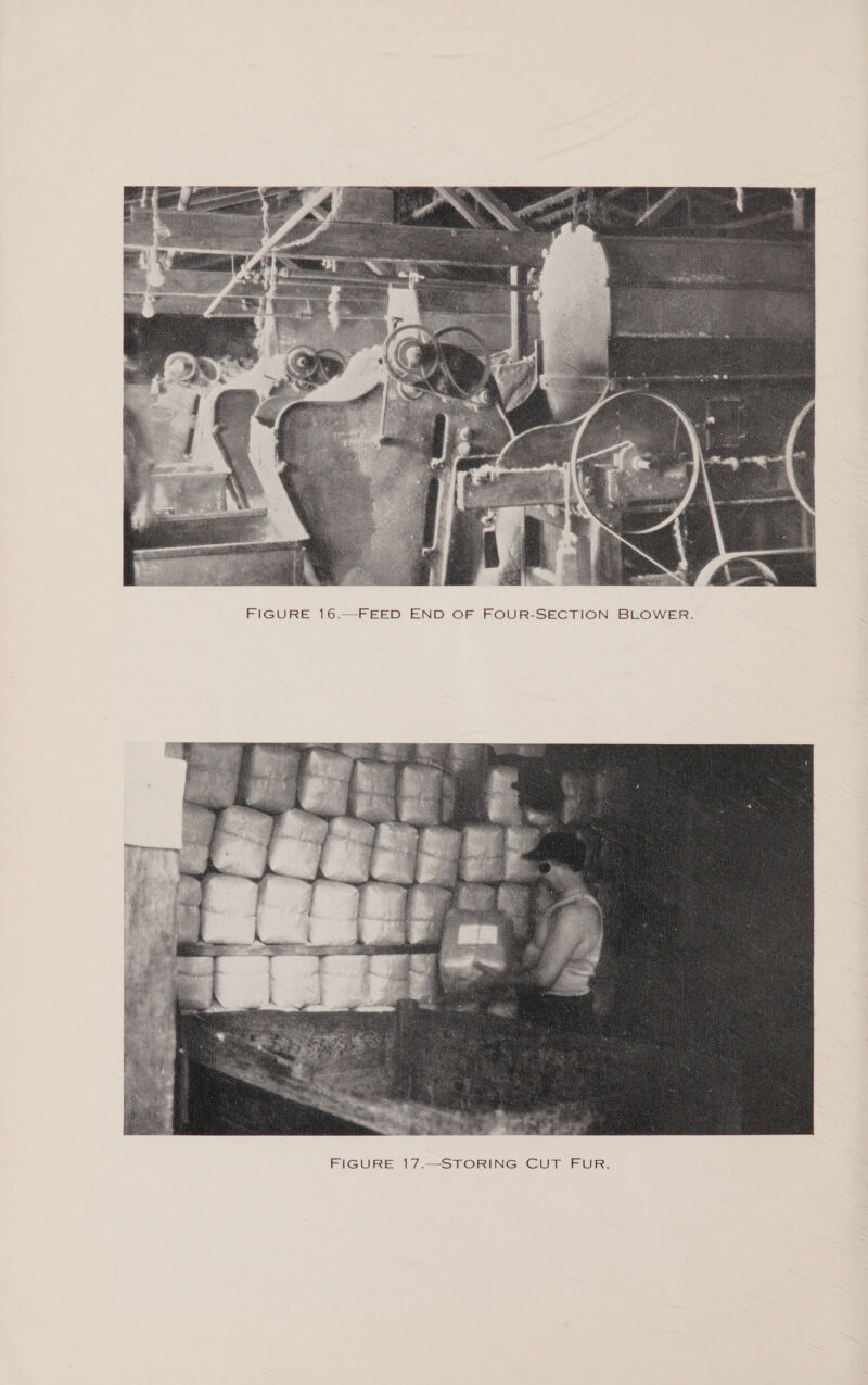  FIGURE 16.—FEED END OF FOUR-SECTION BLOWER. 