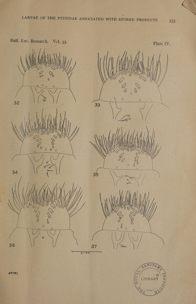  Plate IV. _ Bull. Ent. Research. Vol. 35. 