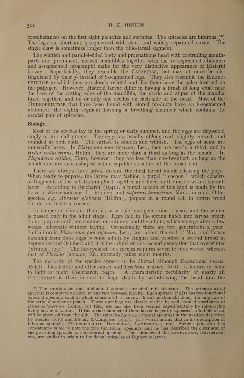 protuberances on the first eight pleurites and sternites. The spiracles are biforous. (*) The legs are short and 5-segmented with short and widely separated coxae. The single claw is sometimes longer than the tibio-tarsal segment. The whitish and parallel-sided body and prognathous head with protruding mouth- parts and prominent, curved mandibles together with the 10-segmented abdomen larvae. Superficially, they resemble the CARABIDAE, but may at once be dis- tinguished by their 5- instead of 6-segmented legs. They also resemble the HyDRo- PHILIDAE to which they are closely related and like them have the galea inserted on the palpiger. However, Histerid larvae differ in having a brush of long setae near the base of the cutting edge of the mandible, the cardo and stipes of the maxilla fused together, and no or only one ocellus on each side of the head. Most of the HYDROPHILIDAE that have been found with stored products have an 8-segmented abdomen, the eighth segment forming a breathing chamber which contains the caudal pair of spiracles. Biology. Most of ihe species lay in the spring or early summer, and the eggs are dannetied singly or in small groups. The eggs are usually oblong-oval, slightly curved, and rounded at both ends. The surface is smooth and whitish. The eggs of some are unusually large. In Platysoma punctigerum, Lec., they are nearly a third, and in Hister cadaverinus, Hoffm., they are more than a third as long as the female. In Plegaderus nitidus, Horn, however, they are less than one-twentieth as long as the female and are acorn-shaped with a cap-like structure at the broad end. There are always three larval instars, the third larval moult releasing the pupa. When ready to pupate, the larvae may fashion a pupal ‘‘ cocoon ’’ which consists of fragments of the substratum glued together and lined on the inside with a smooth layer. According to Reichardt (1941), a pupal cocoon of this kind is made by the larva of Hister unicolor, L., in dung, and Saprinus tenmistnius, Mars., in sand. Other species, ¢.g. Abraeus globosus (Hoffm.), pupate in a round cell in rotten wood but do not make a cocoon. | In temperate climates there is, as a rule, one generation a year, and the winter is passed only in the adult stage. Eggs laid in the spring hatch into larvae which do not pupate until late summer or autumn, and the adults, which emerge after a few weeks, hibernate without laying. Occasionally there are two generations a year. In California Platysoma punctigerum, Lec., lays about the end of May, and larvae hatching from these eggs become adults by August and produce a second brood in September and October; and it is the adults of this second generation that overwinter that of Plaesius javanus, Er., normally takes eight months. Rchdt., flies before and after sunset and Teretrius acaciae, Reitt., is known to come to light at night (Reichardt, 1941). A characteristic peculiarity of nearly all HISTERIDAE is their instinct to feign death by withdrawing the head into the (*) The prothoracic and abdominal spiracles are similar in structure. The primary atrial aperture is completely closed, at any rate between moults. Each spiracle (fig.!1) has two functional external openings each of which consists of a narrow, dorsal, median slit along the long axis of the atrial chamber or. pouch. These openings are clearly visible in well stained specimens of Hister cadaverinus, Hoffm., but their use has also been verified experimentally by submerging living larvae in water. If the atrial chamber of these larvae is gently squeezed, a bubble of air by Steinke (1919) and Béving &amp; Craighead (1931). It is worth noting that in his description of biforous spiracles (HyDROPHILIDAR, DRYOPIDAE, LAMPYRIDAE, etc. ) Steinke (op. ctt.) has consistently failed to note the true functional openings, and he has described the outer scar of the preceding spiracle as the external opening. The spiracles of the LAMPyRIDAE, DRYOPIDAE, etc., are similar in origin to the dorsal:spiracles of Dipterous larvae. ~~