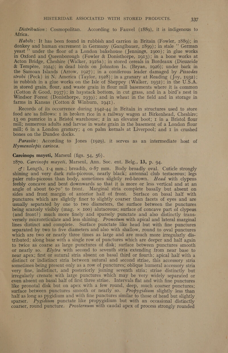 Distnbution: Cosmopolitan. According to Fauvel (1889), it is indigenous to Africa. Habits: It has been found in rubbish and carrion in Britain (Fowler, 1889); in _ donkey and human excrement in Germany (Ganglbauer, 1899); in stale ‘‘ German yeast ’’ under the floor of a London bakehouse (Jennings, 1900); in glue works in Oxford and Queenborough (Fowler &amp; Donisthorpe, 1913); in a bone works at Acton Bridge, Cheshire (Walker, r916a); in stored cereals in Bordeaux (Dieuzeide &amp; Tempére, 1924); in dead birds on Johnston Is. (Bryan, 1926); under bark in the Samoan Islands (Arrow, 1927); in a coniferous leader damaged by Pissodes strob1 (Peck) in N. America (Taylor, 1928); in a granary at Reading (Joy, 1932); in rubbish in a glue works on the Isle of Sheppey (Walker, 1932); in the U.S.A. in stored grain, flour, and waste grain in flour mill basements where it is common (Cotton &amp; Good, 1937); in haystack bottom, in cut grass, and in a bird’s nest in Windsor Forest (Donisthorpe, 1939); and in wheat in the field and in storage in farms in Kansas (Cotton &amp; Winburn, 1941). é Records of its occurrence during 1942-44 in Britain in structures used to store food are as follows: 1 in broken rice in a railway wagon at Birkenhead, Cheshire; I3 On pumrice in a Bristol warehouse; 2 in an elevator boot; x in a Bristol flour mill; numerous adults and larvae in waste grain in the basement of a London flour mill; 6 in a London granary; 4 on palm kernals at Liverpool; and I in crushed bones on the Dundee docks. Parasite: According to Jones (1929), it serves as an intermediate host of Hymenolepis carioca. Carcinops mayeti, Marseul (figs. 54, 56). 1870. Carcinops mayeti, Marseul, Ann. Soc. ent. Belg., 13, p. 94. o: Length, 1-4 mm.; breadth, 0-87 mm. Body broadly oval. Cuticle strongly shining and very dark rufo-piceous, nearly black; antennal club testaceous; legs paler rufo-piceous than body, sometimes slightly red-brown. Head with clypeus feebly concave and bent downwards so that it is more or less vertical and at an angle of about 60-70° to front. Marginal stria complete basally but absent on sides and front margin of anterior half of front. Surface on basal half with punctures which are slightly finer to slightly coarser than facets of eyes and are usually separated by one to two diameters, the surface between the punctures being scarcely visibly (mag. x 100) alutaceous; surface of concave part of clypeus (and front?) much more finely and sparsely punctate and. also distinctly trans- versely microreticulate and less shining. Pyvonotum with apical and lateral marginal lines distinct and complete. Surface punctate like head but with fine punctures _ separated by two to five diameters and also with shallow, round to oval punctures which are two or nearly three times as large and are much more irregularly dis- tributed; along base with a single row of punctures which are deeper and half again to twice as coarse as large punctures of disk; surface between punctures smooth or nearly so. Elytra with second to seventh stria extending from near base to near apex; first or sutural stria absent on basal third or fourth; apical half with a distinct or indistinct stria between sutural and second striae, this accessory stria sometimes being present only as a row of punctures; oblique humeral accessory stria very fine, indistinct, and posteriorly joining seventh stria; striae distinctly but irregularly crenate with large punctures which may be very widely separated or even absent on basal half of first three striae. Intervals flat and with fine punctures like pronotal disk but on apex with a few round, deep, much coarser punctures; surface between punctures smooth or nearly so. Propygidium slightly less than half as long as pygidium and with fine punctures similar to those of head but slightly sparser. Pygidiwm punctate like propygidium but with an occasional distinctly coarser, round puncture. Prosternum with caudal apex of process strongly rounded