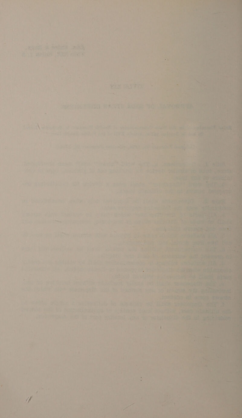 } 1 t } a 5 re an t oF wet ‘ 4 etce; Yow ey i i 4 4 . J erie eS S. eS ih ee. Fie at = or eh ort 4 ‘ san Rite pees 13 pad z a *, w eT : a a Ne » E Ae B ? &amp; \ : ‘.- 7 ey, b + j ae 4.     - ~ — - ae Mee ee 2 7% = ’ shes =) 4 ~ oss | * i ’ 3 ‘iy : | , ** 6 Abe : ' Dy oe ; - = - 4 nh Recetas ‘Seilal ¥ x . - Neate noe SAnitiry oe i o ota ay Lng v “izes ingt re