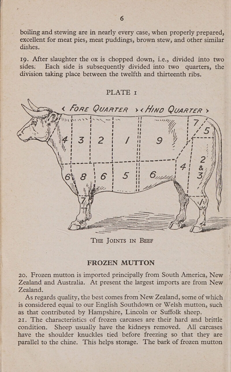  a boiling and stewing are in nearly every case, when properly prepared, excellent for meat pies, meat puddings, brown stew, and other similar dishes. 19. After slaughter the ox is chopped down, i.e., divided into two sides: Each side is subsequently divided into two quarters, the division taking place between the twelfth and thirteenth ribs. PLATE 1  THE JOINTS IN BEEF FROZEN MUTTON 20. Frozen mutton is imported principally from South America, New Zealand and Australia. At present the largest imports are from New Zealand. nee As regards quality, the best comes from New Zealand, some of which is considered equal to our English Southdown or Welsh mutton, such as that contributed by Hampshire, Lincoln or Suffolk sheep. 21. The characteristics of frozen carcases are their hard and brittle condition. Sheep usually have the kidneys removed. All carcases have the shoulder knuckles tied before freezing so that they are parallel to the chine. This helps storage. The bark of frozen mutton