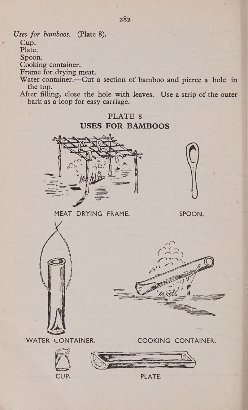 Uses for bamboos. (Plate 8). . Cup. Plate. Spoon. Cooking container. Frame for.drying meat. Water container.—Cut a section of bamboo and pierce a hole in the top. After filling, close the hole with leaves. Use a strip of the outer bark as a loop for easy carriage. PLATES USES FOR BAMBOOS  MEAT DRYING FRAME. SPOON. 