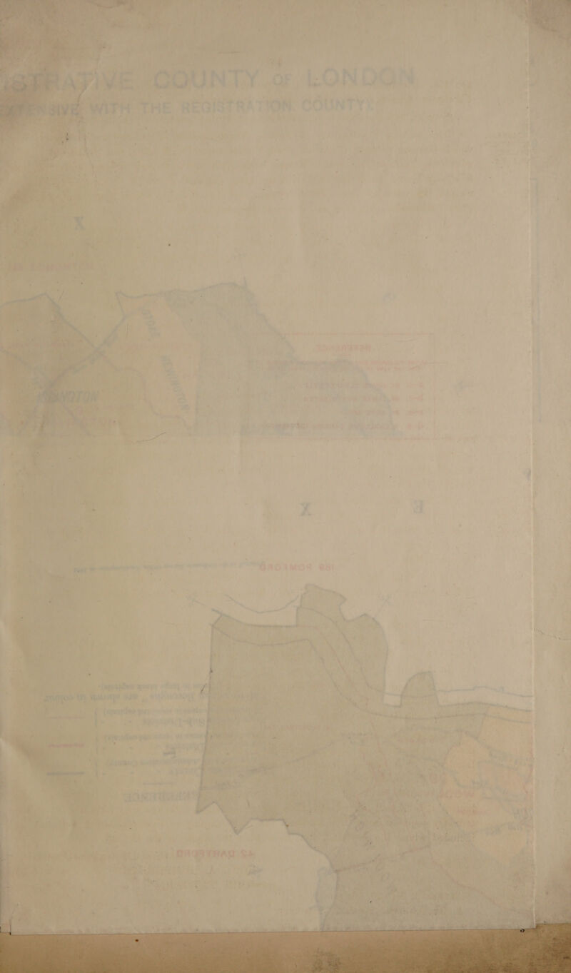   ~  Ane  S4Ar et “we 