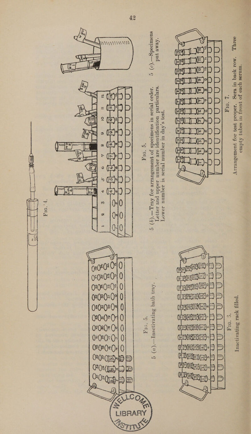   Fie. 5. 5 (b).—Tray for arrangement of specimens in serial order. 5 (c).—Specimens put away Letter and upper number are identification particulars. Lower number is serial number in day’s test.    5 (a).—Inactivating bath tray. Ep NED erty V2?) Pp fort 0 Ne JL) [DO BEI) D RAL D DP (2 a 1 FEL »p DP PAID P ey ie oD) PDD          Fia. 7. Arrangement for test proper.  Sera in back row. Three empty tubes in front of each serum. Inactivating rack filled.