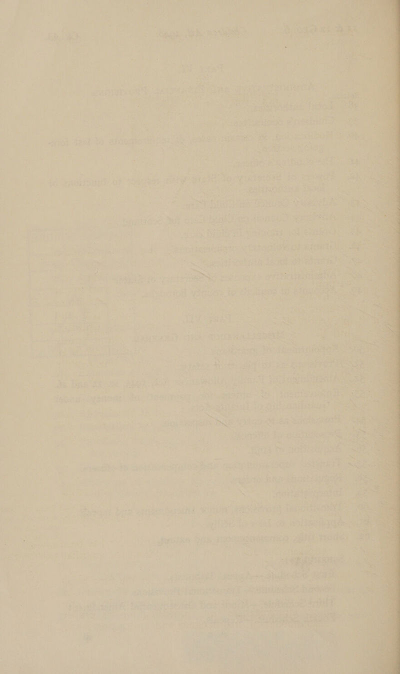   : i g i - ver &lt;— &gt; Fe Es &lt; j ml ON : “% h, a as ; OE ae PANEL EG       S40 eno BUY OF Tee ; flip ectina ae eked 