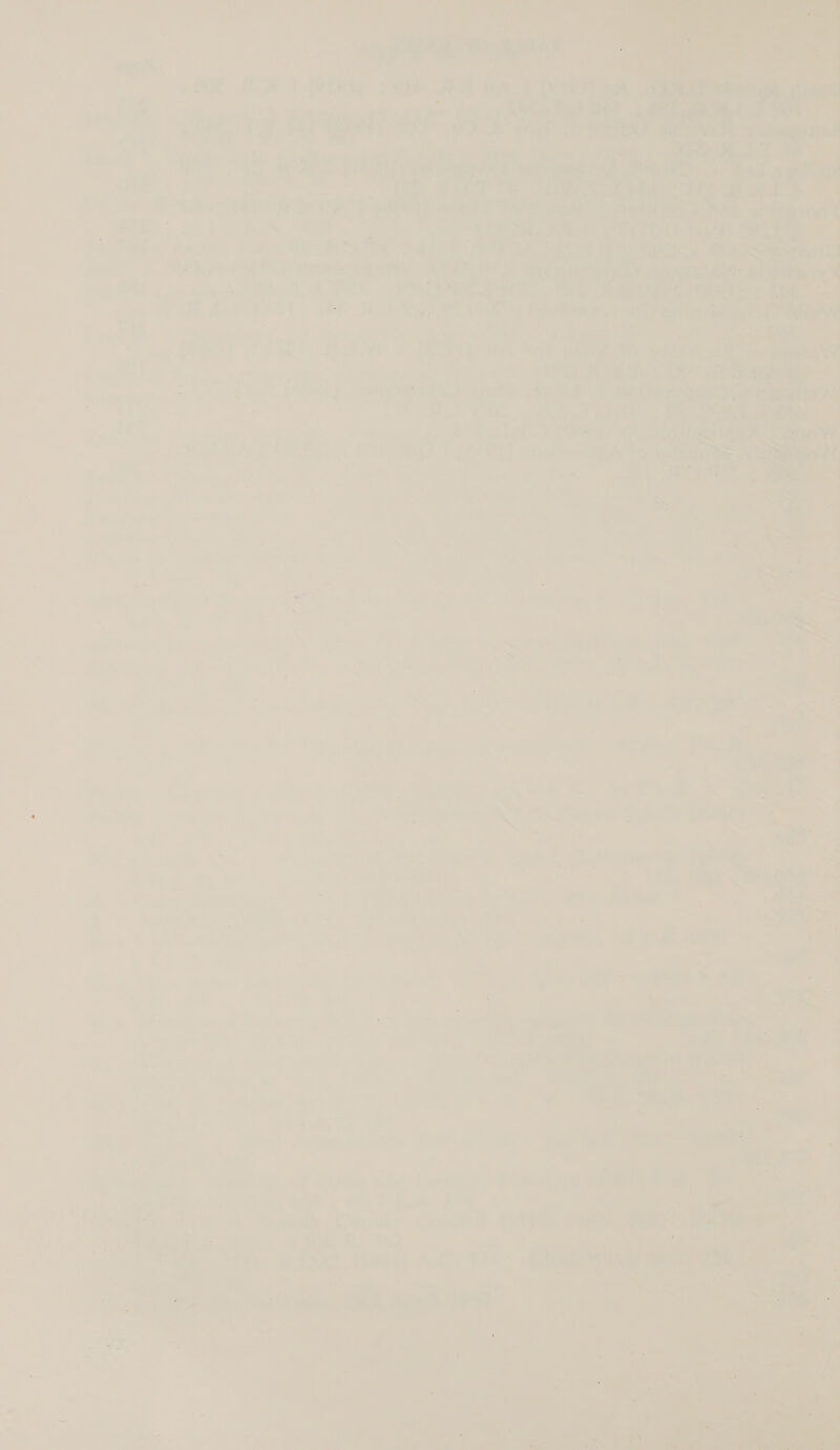 7 7 ' : a) a ' oe 7 _ 7 © Vee fa - a ee a a) _ aut, 7 aoa8 es f “ oo hacia, Udy Qed sae f ATOR eee a an tee < ate @ 7 Lear cae we cS’ ‘ ae , on a ex ee 3 . bo : 29 he | 8, RAF, CRCRS Car Z a ode re es any om | a eo (a pkgs ere ace ‘ne ae: od teal r Cai 3 a =i - oe