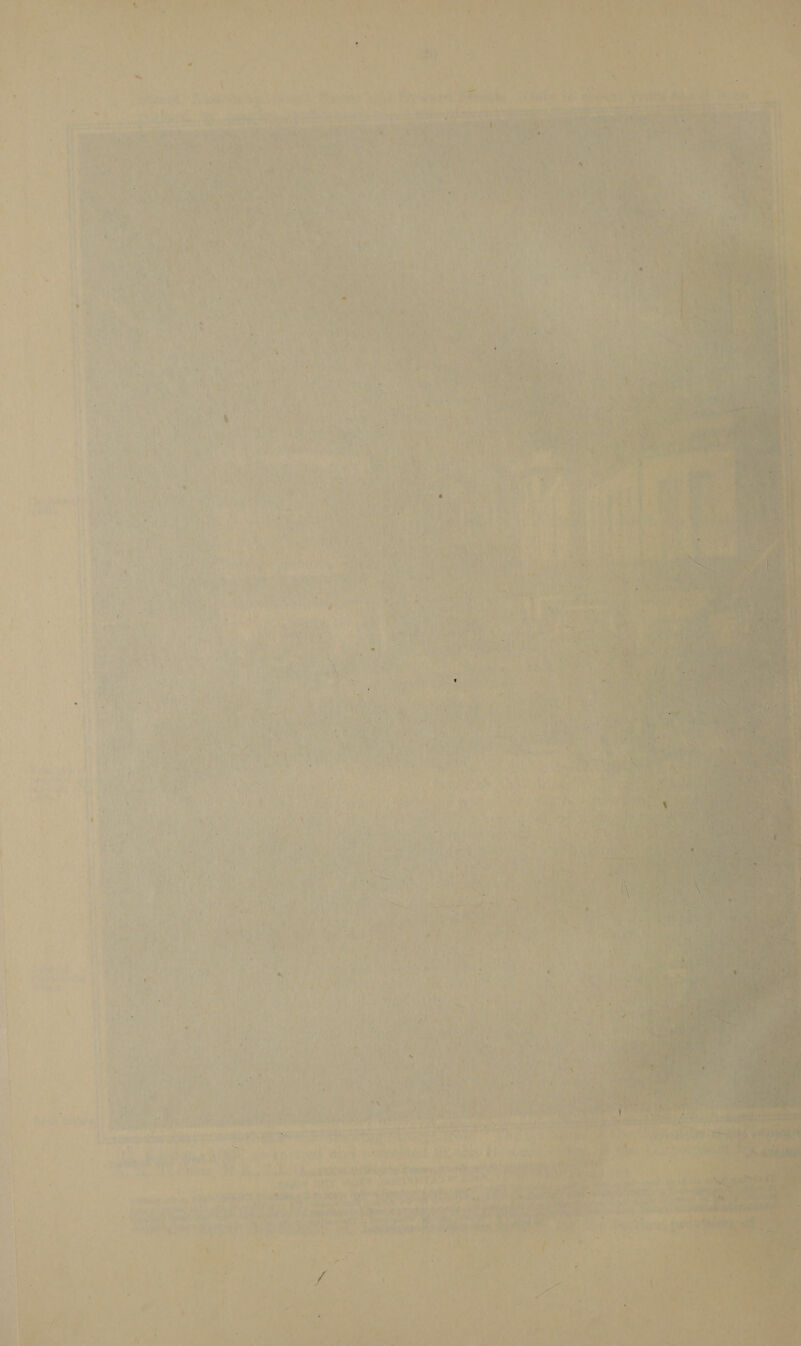  . : f ie ars cy . hs ee : BY ~ ‘ 4 . bie ts 4 2 : - - - sae i ‘ 4, oa : i 1 Os ‘y Sy ; Weetts PSAP a th if lav by = quent Vee - ‘  j a me e- 2) eee here    tae ee &gt; Aas                       ae } 7 5 a s 4 Ate ws . 1 a] ~~ . . . . ‘ 4 Toe) 1 it oy é 4 re? z ov ae on By F ; a fe apy a Fe ge FS eg wt : _ - * ee | Prat ik been) . 7 +h &lt; ‘. ¢ sit 4 , etn 3 ir Ae y 2) Br, , aad Wes ' ont RNa hierae a fee) E ‘A he ¥ * id bok de vs 4? cen be Ship Ee teeape taet ae * , a 5G See Rey a { : yd ; . . Sdn 3X MAL a s¥ ls BY “gg a emus cotati e aad - Lan J hose —_— ‘ = ¢ eh 7 on 0m Re eae ’ or ri fy pln ps ale 4 ' - ¥ a fa A : Sa 5 ele pte eae eb “ : ; f 40h AG, nile Cony iat 2 tet Coa Be @ ; t ' i= { a ate : 4 2 » 4 4 “ _ A we . ha e , J os 