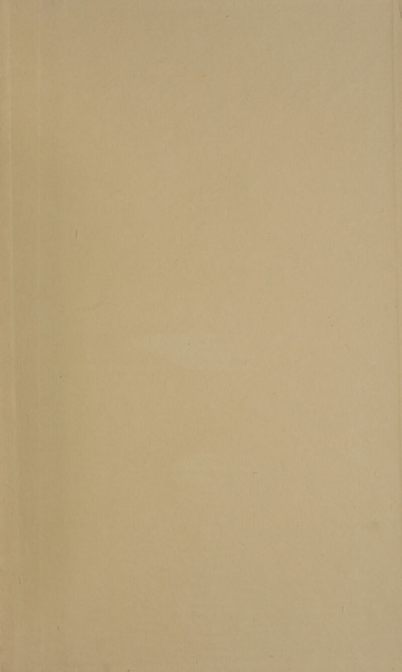  ay fer. == » =y Ot > | 1 Ss a ad. “Sel teas nak rs ona nF 4 j i 7 i \ <A ‘ ' ; o A * A ee , - * a ks? ae Ay het rt Bete ay tet 2 as ee | % Pats eo re, 7 Dub eran a. » “ee 6 As b » ee - 4 : 2 J ”) ' ; rt Ae aie . ‘ } a % i > . % . ° f s” \er* i> ' @ é-0 i - AY) ss , » A) ae ise Te” ary ov Soir aes » y * a d Se eae Bere ‘ ' * i P] y 4 , n » t * = a ‘ ., ‘ sf 4 al i r : * v} F aa, oo ¥ ‘  » i —| _ ~— — a ieaied 2 —s ‘ ee ee a ee all é . . ae a . ‘ ‘ yr y ; ‘ i ‘ fi 4 , ‘ « . ‘ Tu ty ~ 1 ay “ v } A i ’ ; - / s wd ‘ 3 ‘ * al” =>; c On : 2) wna! Ae , > i a a = 2 “ = ' .. ~ “5 . ré x a a wis ‘ _ aa > h a, - . oO i, ag: aS k * aes | _ ‘ ' ¥ a oy, ie ‘ y ayn 8? . } :