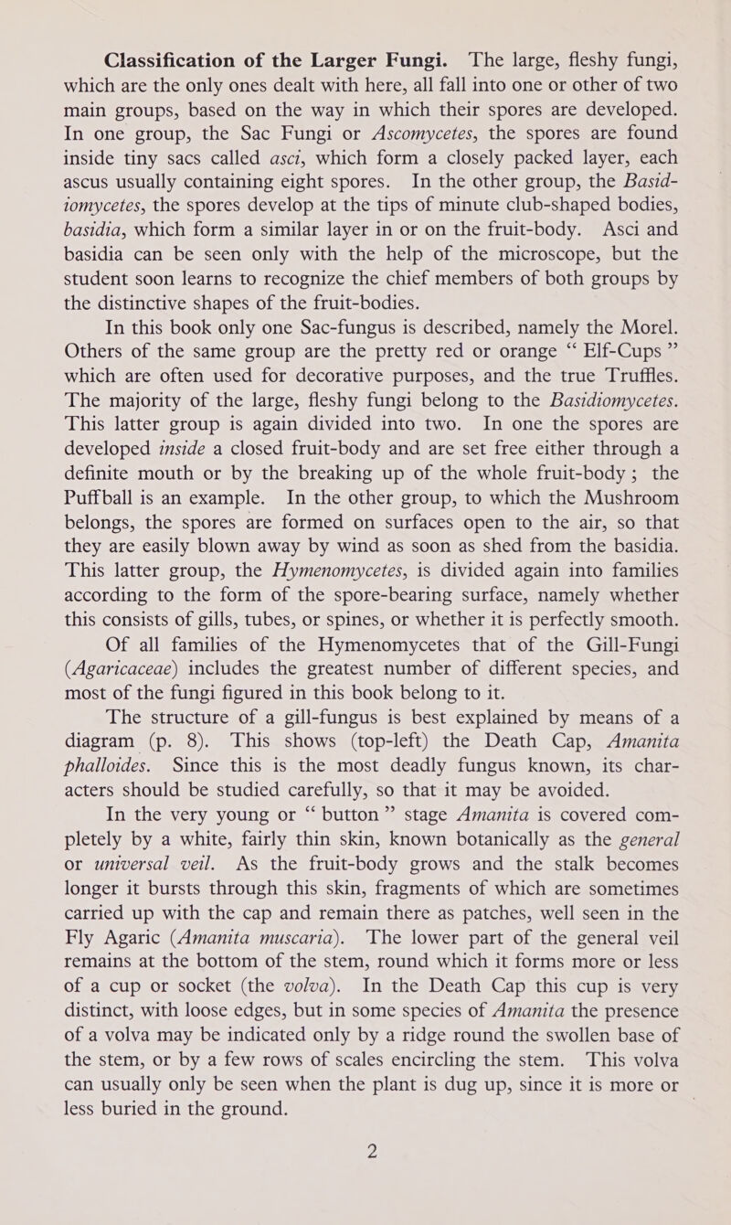 Classification of the Larger Fungi. ‘The large, fleshy fungi, which are the only ones dealt with here, all fall into one or other of two main groups, based on the way in which their spores are developed. In one group, the Sac Fungi or Ascomycetes, the spores are found inside tiny sacs called ascz, which form a closely packed layer, each ascus usually containing eight spores. In the other group, the Basrd- 1omycetes, the spores develop at the tips of minute club-shaped bodies, basidia, which form a similar layer in or on the fruit-body. Asci and basidia can be seen only with the help of the microscope, but the student soon learns to recognize the chief members of both groups by the distinctive shapes of the fruit-bodies. In this book only one Sac-fungus is described, namely the Morel. Others of the same group are the pretty red or orange “ Elf-Cups ” which are often used for decorative purposes, and the true Truffles. The majority of the large, fleshy fungi belong to the Baszdiomycetes. This latter group is again divided into two. In one the spores are developed inside a closed fruit-body and are set free either through a definite mouth or by the breaking up of the whole fruit-body; the Puffball is an example. In the other group, to which the Mushroom belongs, the spores are formed on surfaces open to the air, so that they are easily blown away by wind as soon as shed from the basidia. This latter group, the Hymenomycetes, is divided again into families according to the form of the spore-bearing surface, namely whether this consists of gills, tubes, or spines, or whether it is perfectly smooth. Of all families of the Hymenomycetes that of the Gill-Fungi (Agaricaceae) includes the greatest number of different species, and most of the fungi figured in this book belong to it. The structure of a gill-fungus is best explained by means of a diagram (p. 8). This shows (top-left) the Death Cap, Amanita phalloides. Since this is the most deadly fungus known, its char- acters should be studied carefully, so that it may be avoided. In the very young or “ button” stage Amanita is covered com- pletely by a white, fairly thin skin, known botanically as the general or universal veil. As the fruit-body grows and the stalk becomes longer it bursts through this skin, fragments of which are sometimes carried up with the cap and remain there as patches, well seen in the Fly Agaric (Amanita muscaria). ‘The lower part of the general veil remains at the bottom of the stem, round which it forms more or less of a cup or socket (the volva). In the Death Cap this cup is very distinct, with loose edges, but in some species of Amanita the presence of a volva may be indicated only by a ridge round the swollen base of the stem, or by a few rows of scales encircling the stem. This volva can usually only be seen when the plant is dug up, since it is more or less buried in the ground. |