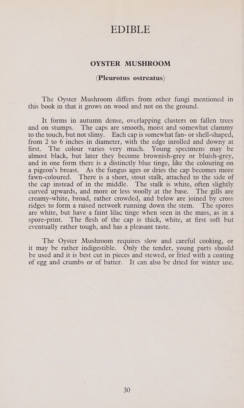 OYSTER MUSHROOM (Pleurotus ostreatus) The Oyster Mushroom differs from other fungi mentioned in this book in that it grows on wood and not on the ground. It forms in autumn dense, overlapping clusters on fallen trees and on stumps. ‘The caps are smooth, moist and somewhat clammy to the touch, but not slimy. Each cap is somewhat fan- or shell-shaped, from 2 to 6 inches in diameter, with the edge inrolled and downy at first. ‘The colour varies very much. Young specimens may be almost black, but later they become brownish-grey or bluish-grey, and in one form there is a distinctly blue tinge, like the colouring on a pigeon’s breast. As the fungus ages or dries the cap becomes more fawn-coloured. There is a short, stout stalk, attached to the side of the cap instead of in the middle. The stalk is white, often slightly curved upwards, and more or less woolly at the base. The gills are creamy-white, broad, rather crowded, and below are joined by cross ridges to form a raised network running down the stem. The spores are white, but have a faint lilac tinge when seen in the mass, as in a spore-print. The flesh of the cap is thick, white, at first soft but eventually rather tough, and has a pleasant taste. The Oyster Mushroom requires slow and careful cooking, or it may be rather indigestible. Only the tender, young parts should be used and it is best cut in pieces and stewed, or fried with a coating of egg and crumbs or of batter. It can also be dried for winter use.