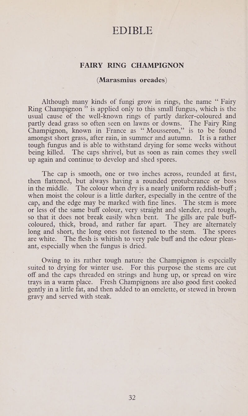 FAIRY RING CHAMPIGNON (Marasmius oreades) Although many kinds of fungi grow in rings, the name “ Fairy Ring Champignon ” is applied oniy to this small fungus, which is the usual cause of the well-known rings of partly darker-coloured and partly dead grass so often seen on lawns or downs. The Fairy Ring Champignon, known in France as “‘ Mousseron,” is to be found amongst short grass, after rain, in summer and autumn. It is a rather tough fungus and is able to withstand drying for some weeks without being killed. The caps shrivel, but as soon as rain comes they swell up again and continue to develop and shed spores. The cap is smooth, one or two inches across, rounded at first, then flattened, but always having a rounded protuberance or boss in the middle. The colour when dry is a nearly uniform reddish-buff ; when moist the colour is a little darker, especially in the centre of the cap, and the edge may be marked with fine lines. The stem is more or less of the same buff colour, very straight and slender, end tough, so that it does not break easily when bent. The gills are pale buff- coloured, thick, broad, and rather far apart. They are alternately long and short, the long ones not fastened to the stem. The spores are white. The flesh is whitish to very pale buff and the odour pleas- ant, especially when the fungus is dried. Owing to its rather tough nature the Champignon is especially suited to drying for winter use. For this purpose the stems are cut off and the caps threaded on strings and hung up, or spread on wire trays in a warm place. Fresh Champignons are also good first cooked gently in a little fat, and then added to an omelette, or stewed in brown gravy and served with steak. oy