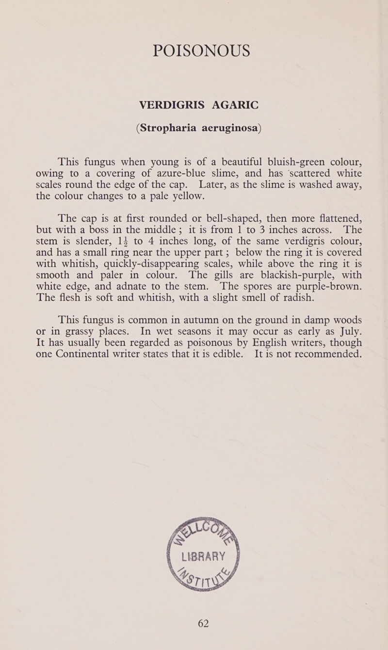 VERDIGRIS AGARIC (Stropharia aeruginosa) This fungus when young is of a beautiful bluish-green colour, Owing to a covering of azure-blue slime, and has ‘scattered white scales round the edge of the cap. Later, as the slime is washed away, the colour changes to a pale yellow. The cap is at first rounded or bell-shaped, then more flattened, but with a boss in the middle; it is from 1 to 3 inches across. The stem is slender, 14 to 4 inches long, of the same verdigris colour, and has a small ring near the upper part ; below the ring it is covered with whitish, quickly-disappearing scales, while above the ring it is smooth and paler in colour. The gills are blackish-purple, with white edge, and adnate to the stem. The spores are purple-brown. The flesh is soft and whitish, with a slight smell of radish. This fungus is common in autumn on the ground in damp woods or in grassy places. In wet seasons it may occur as early as July. It has usually been regarded as poisonous by English writers, though one Continental writer states that it is edible. It is not recommended. 