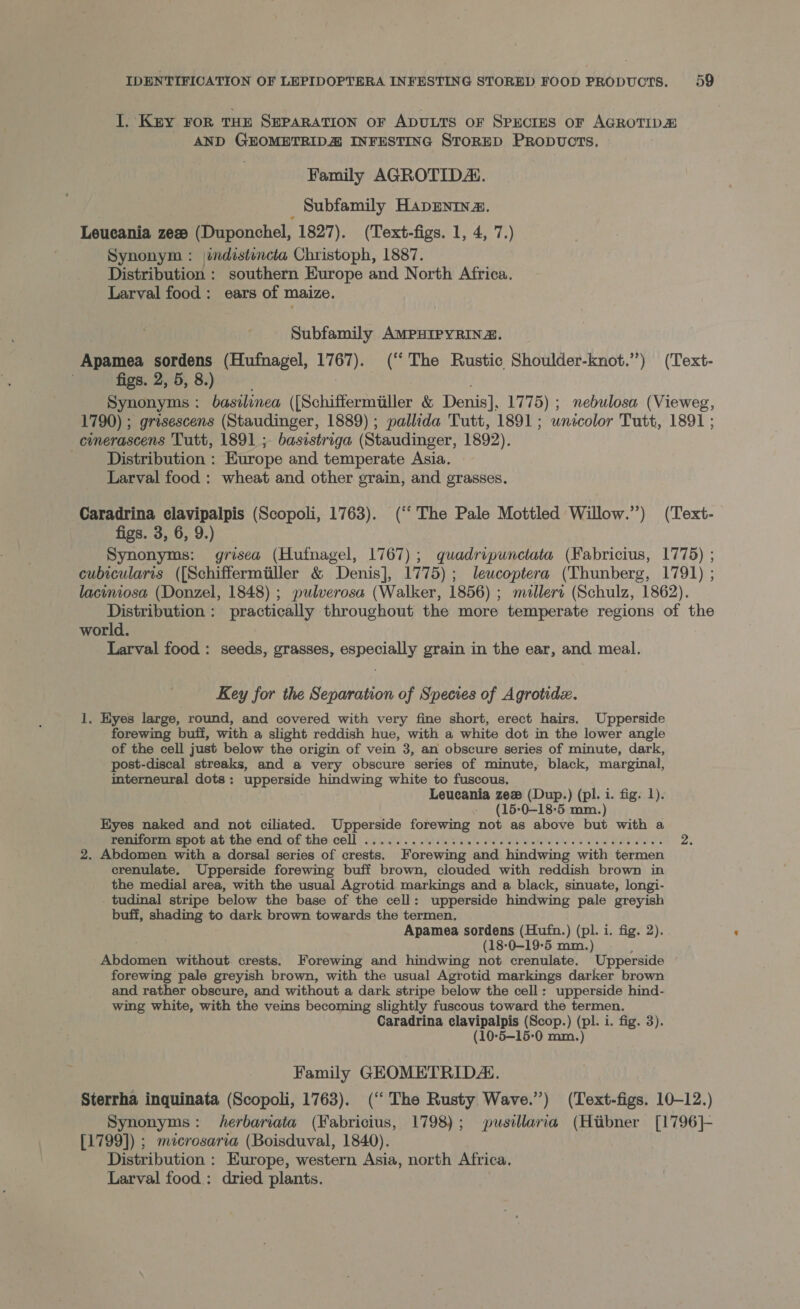 I. Key FOR THE SEPARATION OF ADULTS OF SPECIES OF AGROTIDA AND GEOMETRIDZ INFESTING STORED PRODUCTS. Family AGROTIDA. _ Subfamily HapEnin a. Leucania 202 (Duponchel, 1827). (Text-figs. 1, 4, 7.) Synonym : \indistincta Christoph, 1887. Distribution : southern Europe and North Africa. Larval food: ears of maize. Subfamily AMPHIPYRINA. Apamea sordens (Hufnagel, 17 HO. (“The Rustic Shoulder-knot.’’) (Text- . figs. 2, 5, 8.) Synonyms : basilinea ({Schiffermiiller &amp; Denis], 1775) ; nebulosa (Vieweg, 1790) ; grisescens pesca 1889) ; pallida Tutt, 1891 ; unicolor Tutt, 1891 ; cinerascens Tutt, 1891 ;. basistriga (Staudinger, 1892). _ Distribution : Europe and temperate Asia. Larval food : wheat and other grain, and grasses. Caradrina elavipalpis (Scopoli, 1763). (“The Pale Mottled Willow.”) (Text- figs. 3, 6, 9.) Synonyms: grisea (Hufnagel, 1767); quadripunctata (Fabricius, 1775) ; cubicularis ([Schiffermiiller &amp; Denis], 1775); leucoptera (Thunberg, 1791) ; laciniosa (Donzel, 1848) ; pulverosa (Walker, 1856) ; mallert (Schulz, 1862). Distribution : practically throughout the more temperate regions of the world. Larval food : seeds, grasses, especially grain in the ear, and meal. Key for the Separation of Species of Agrotide. 1. Eyes large, round, and covered with very fine short, erect hairs. Upperside forewing buff, with a slight reddish hue, with a white dot in the lower angle of the cell just below the origin of vein 3, an obscure series of minute, dark, post-discal streaks, and a very obscure series of minute, black, marginal, interneural dots : upperside hindwing white to fuscous. Leucania zez (Dup.) (pl. 1. fig. 1). - (15-0-18-5 mm.) Eyes naked and not ciliated. Upperside forewing not as above but with a Tenor spot at the end of thecell 6. i)... eels sie eek Sortleele ss Caw ade deals 2. 2. Abdomen with a dorsal series of crests. Forewing and hindwing with termen crenulate. Upperside forewing buff brown, clouded with reddish brown in the medial area, with the usual Agrotid markings and a black, sinuate, longi- _ tudinal stripe below the base of the cell: upperside hindwing pale greyish buff, shading to dark brown towards the termen., Apamea sordens (Hufn.) (pl. i. fig. 2). . (18-0—19°5 mm.) Abdomen without. crests. Forewing and hindwing not crenulate. Upperside forewing pale greyish brown, with the usual Agrotid markings darker brown and rather obscure, and without a dark stripe below the cell: upperside hind- wing white, with the veins becoming slightly fuscous toward the termen. Caradrina clavipalpis (Scop.) (pl. i. fig. 3). (10-5—15-0 mm.) Family GEOMETRIDA:. Sterrha inquinata (Scopoli, 1763). (‘‘ The Rusty Wave.) (Text-figs. 10-12.) Synonyms: herbariata (Fabricius, 1798); pusillaria (Hiibner [1796]- [1799]) ; mecrosaria (Boisduval, 1840). Distribution : Europe, western Asia, north Africa. Larval food: dried plants.