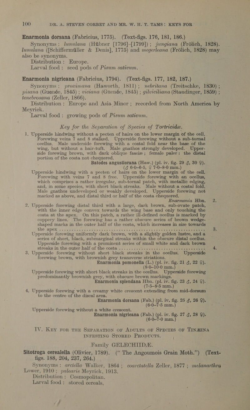 Enarmonia dorsana (Fabricius, 1775). (Text-figs. 176, 181, 186.) Synonyms: lunulana (Hitibner [1796]-[1799]) ; jungiana (Frolich, 1828). lunulana ([Schiffermiiller &amp; Denis], 1775) and megerleana (Frélich, 1828) may also be synonyms. Distribution : Europe. Larval food : seed pods of Pisum sativum. Enarmonia nigricana (Fabricius, 1794). (‘Text-figs. 177, 182, 187.) Synonyms: proximana (Haworth, 1811); nebritana (‘Treitschke, 1830) ; pisana (Guenée, 1845) ; viciana (Guenée, 1845) ; gilviciliana (Staudinger, 1859) ; tenebrosana (Zeller, 1866). 2 Distribution : Europe and Asia Minor ; recorded from North America by Meyrick. | Larval food: growing pods of Pisum satiwum. Key for the Separation of Species of Tortricide. 1. Upperside hindwing without a pecten of hairs on the lower margin of the cell. Forewing veins 7 and 8 stalked. Upperside forewing without a sub-tornal ocellus. Male underside forewing with a costal fold near the base of the wing, but without a hair-tuft. Male gnathos strongly developed. Upper- side forewing brown, with dark oblique fascie ; female paler: the distal portion of the costa not chequered. Batodes angustiorana (Haw.) (pl. iv. fig. 29 g, 30 9). (gf 6:0-6:5, 2 7-0-8-0 mm.) Upperside hindwing with a pecten of hairs on the lower margin of the cell. Forewing with veins 7 and 8 free. Upperside forewing with an ocellus, which comprises a rather irrégular, sub-tornal patch, with metallic edging, and, in some species, with short black streaks. Male without a costal fold. Male gnathos undeveloped or weakly developed. Upperside forewing not marked as above, and distal third or half of the costa chequered. Lnarmonia Hbn. 2. 2. Upperside forewing distal third with a large, dark brown, sub-ovate patch, with the inner edge convex towards the wing base and only touching the costa at the apex. On this patch, a rather ill-defined ocellus is marked by coppery lines. The forewing has a rather obscure series of brown wedge- ~ shaped marks in the outer half of the costa, which increases in size towards the Apex «oe cip eh sic bls.o bivlelb ole ore onus. 8 po 4) 0op0 a Ry gababnel ety ope ee ee 3. Upperside forewing uniformly dark brown, with a slightly golden lustre, ald a series of short, black, submarginal streaks within the obscure distal ocellus. Upperside forewing with a prominent series of small white and dark brown streaks in the outer half of the costa 22... 2 i. .apca cule se os «Wile oie enna 4. 3. Upperside forewing without short black streaks in the ocellus. Upperside forewing brown, with brownish grey transverse striations. Enarmonia pomonella (L.) (pl. iv. fig. 21 g, 22 9). (8-0-10-0 mm.) Upperside ESHA with short black streaks in the ocellus. Upperside forewing predominantly brownish grey, with obscure brown markings. Enarmonia splendana Hbn. (pl. iv. fig. 23 3, 24 9). ; (7-5—8-5 mm.) . 4, Upperside forewing with a creamy white crescent extending from mid-dorsum to the centre of the discal area. Enarmonia dorsana (Fab.) (pl. iv. fig. 25 g, 26 9). ( 6-0-7°5 mm.) Upperside forewing without a white crescent. Enarmonia nigricana (Fab.) (pl. iv. 7 27 3, 28 9). (6:0—7-0 mm.) IV. Key FOR THE Sparen or ADULTS OF SPECIES OF TINAINA INFESTING STORED PRODUCTS. Family GELECHITDA. Sitotroga cerealella (Olivier, 1789). (‘‘ The Angoumois Grain Moth.”) (Text- figs. 188, 204, 237, 264.) . Synonyms: arctella Walker, 1864; coarctatella Zeller, 1877 ; melanarthrq Lower, 1910; palearis Meyrick, 1913. Distribution : Cosmopolitan. Larval food: stored cereals,